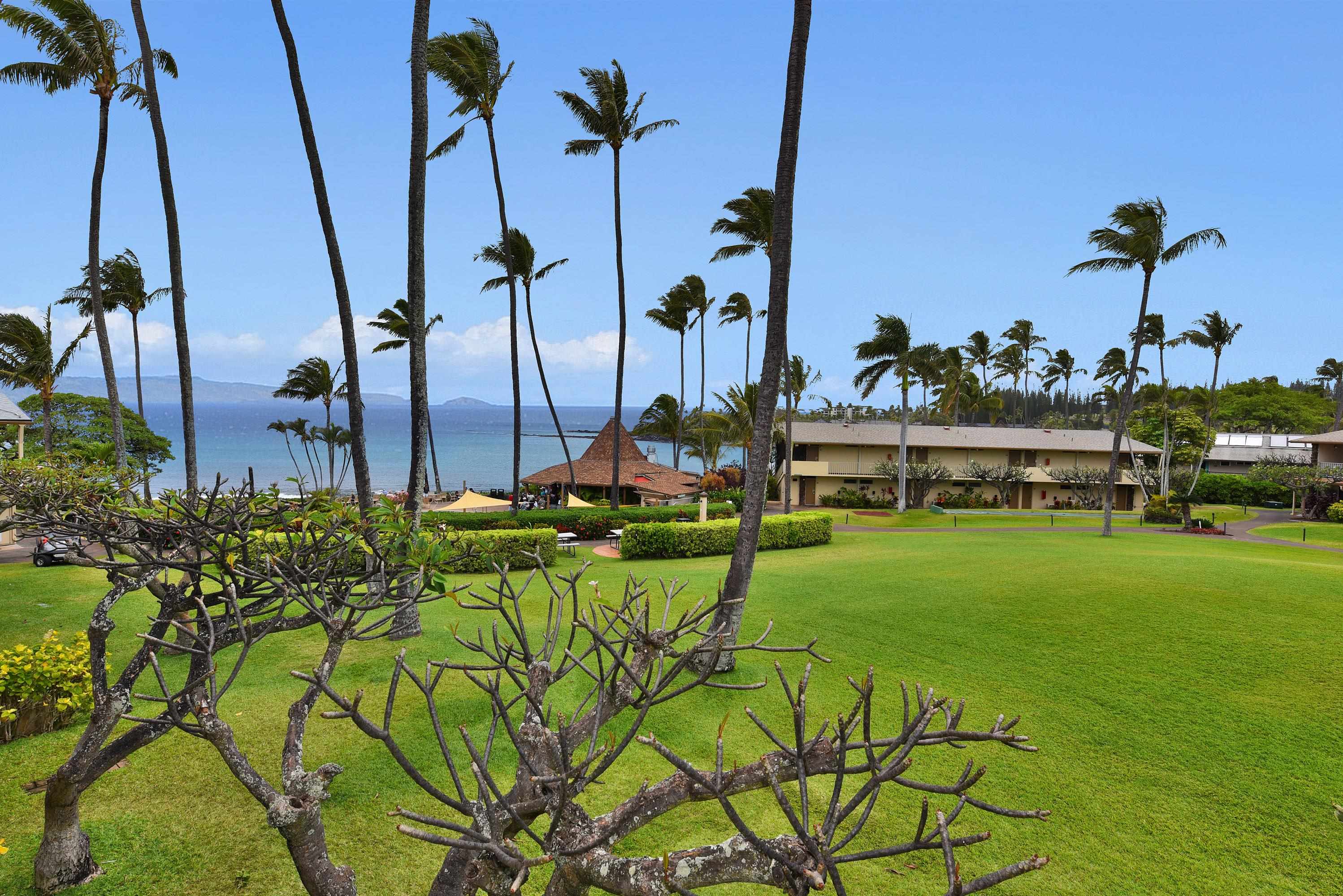 Napili Shores condo # H262, Lahaina, Hawaii - photo 21 of 31