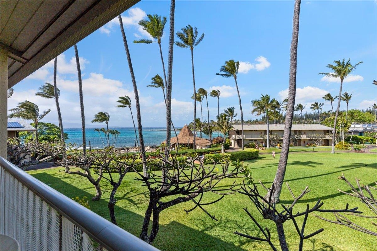 Napili Shores condo # H-263, Lahaina, Hawaii - photo 28 of 50