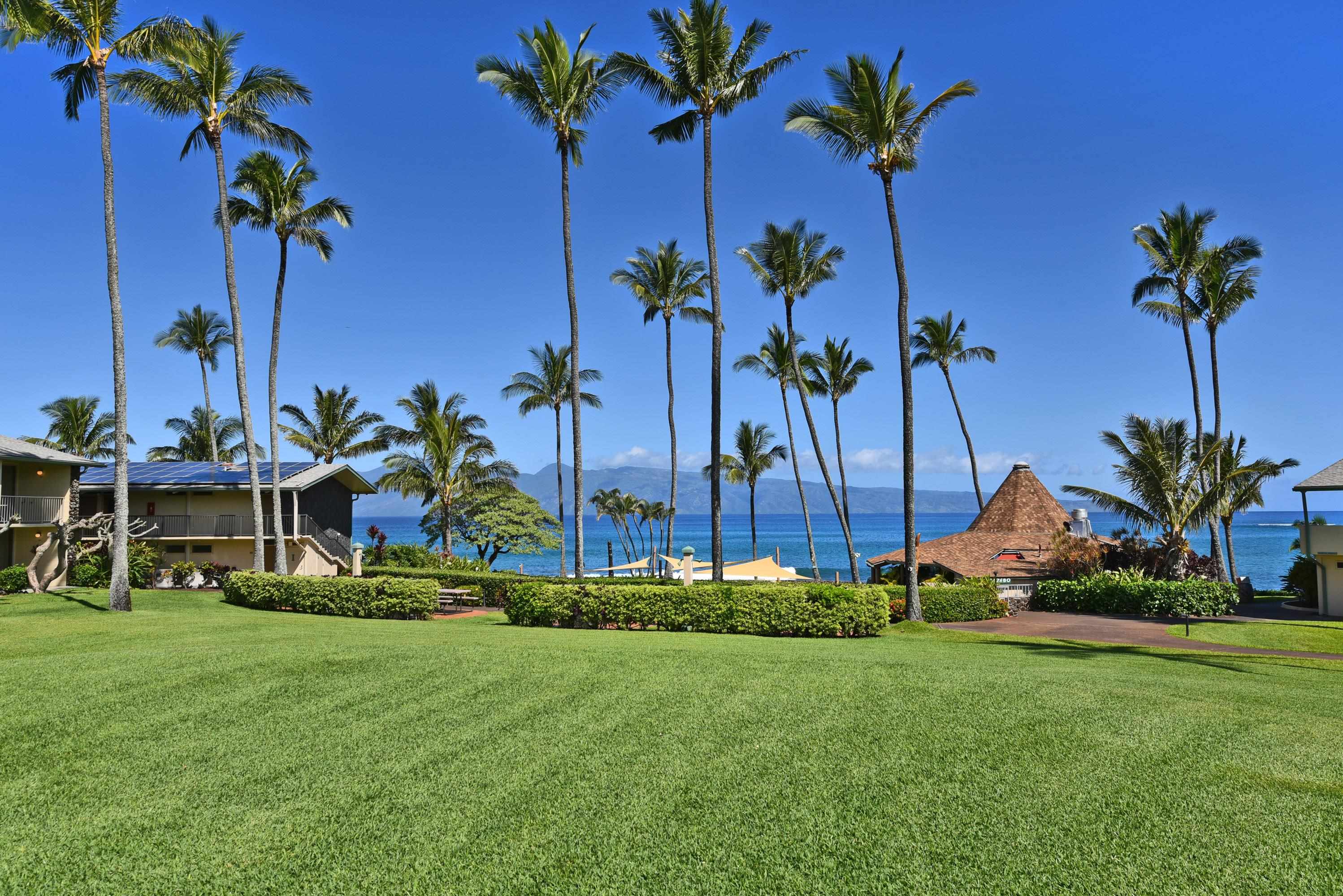 Napili Shores condo # I275, Lahaina, Hawaii - photo 33 of 42