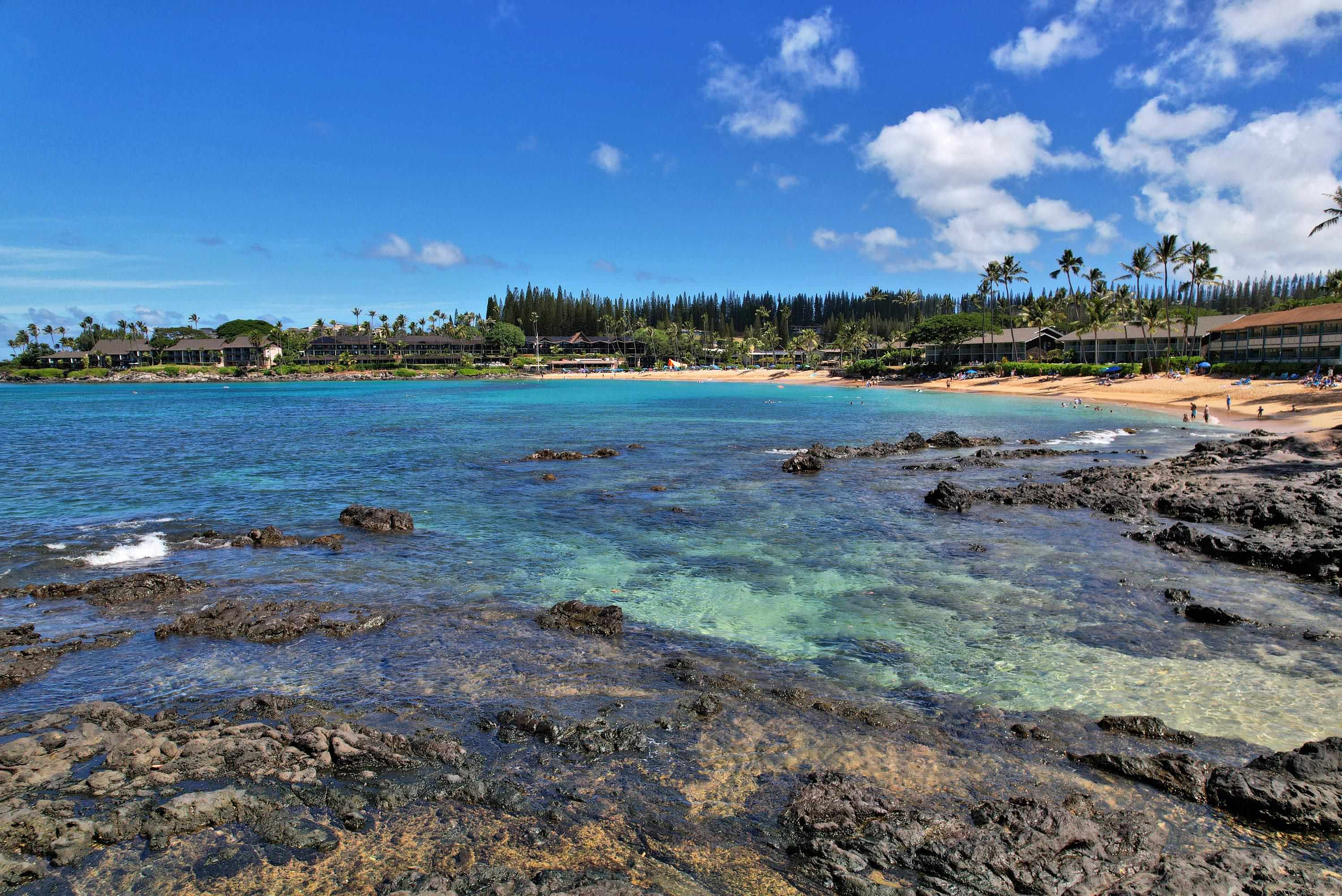 Napili Shores condo # I275, Lahaina, Hawaii - photo 39 of 42