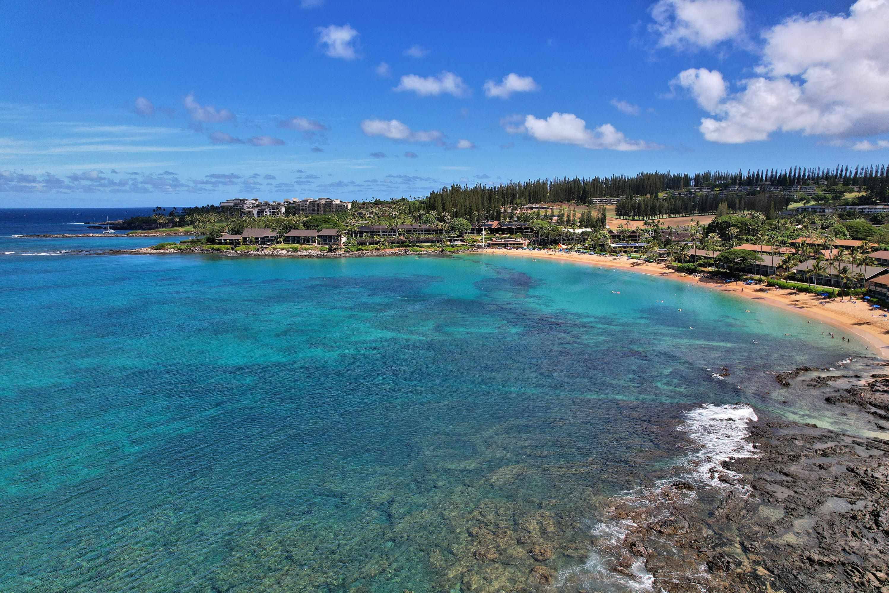 Napili Shores condo # I275, Lahaina, Hawaii - photo 42 of 42