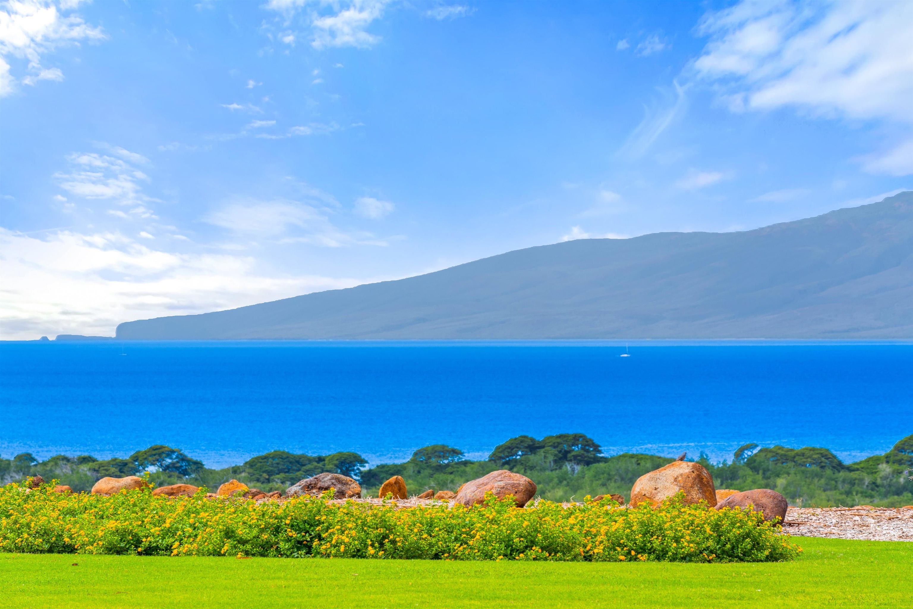 533  Luawai St Olowalu, Olowalu home - photo 18 of 50