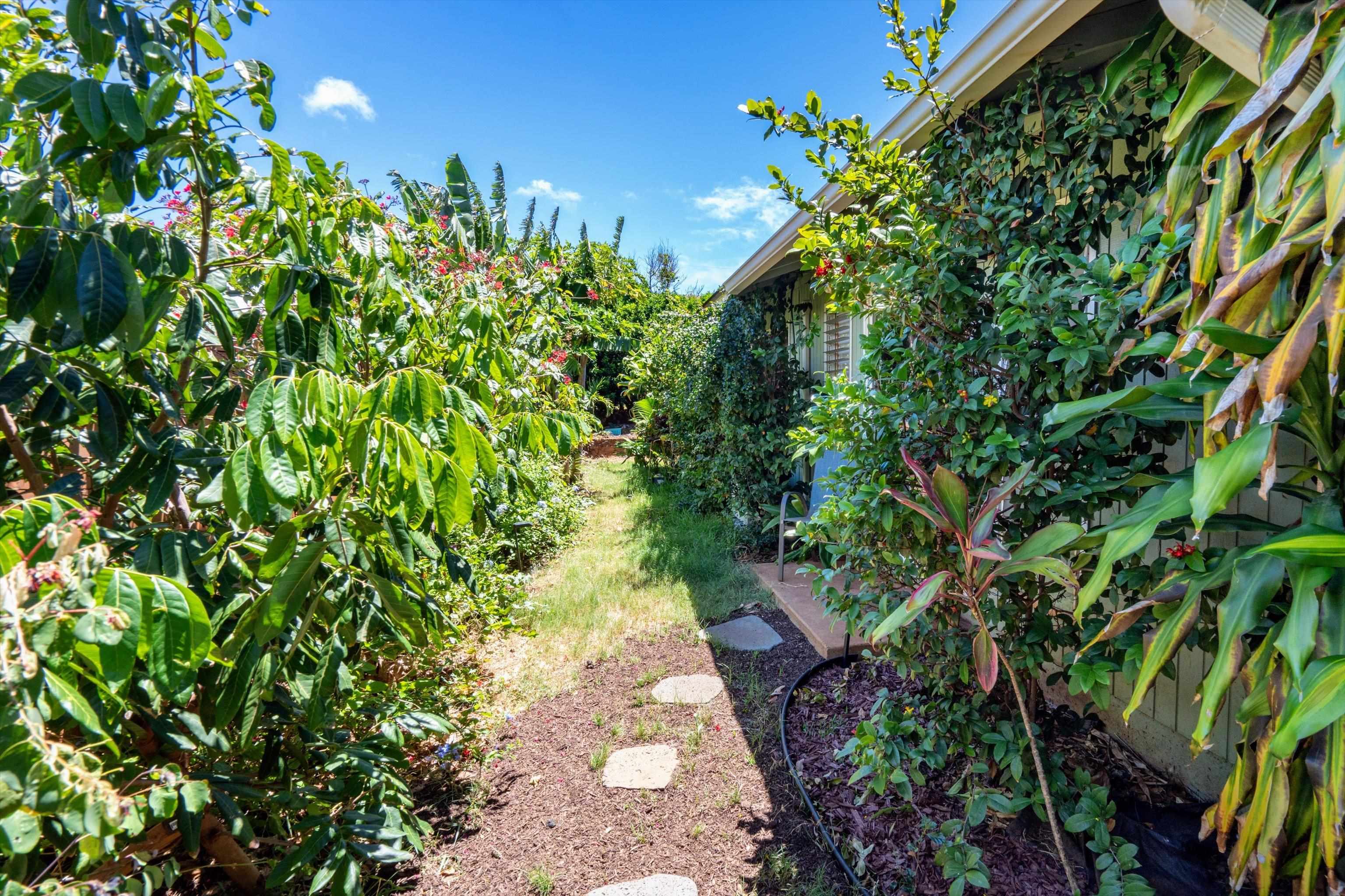 533  Pili Loko St Skill Village, Spreckelsville/Paia/Kuau home - photo 7 of 17