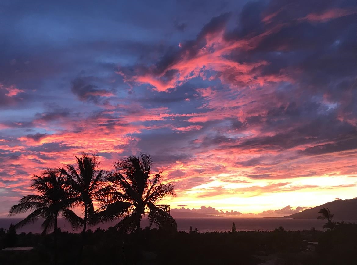 535  Kupulau Dr Maui Meadows, Maui Meadows home - photo 29 of 30