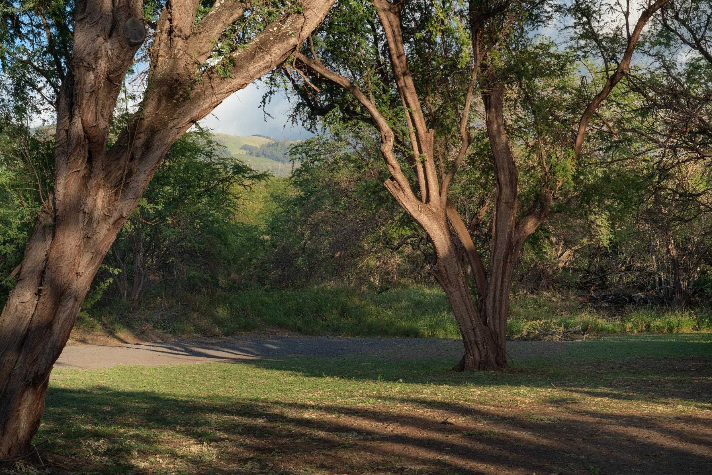 5375 Makena Rd  Kihei, Hi vacant land for sale - photo 15 of 26