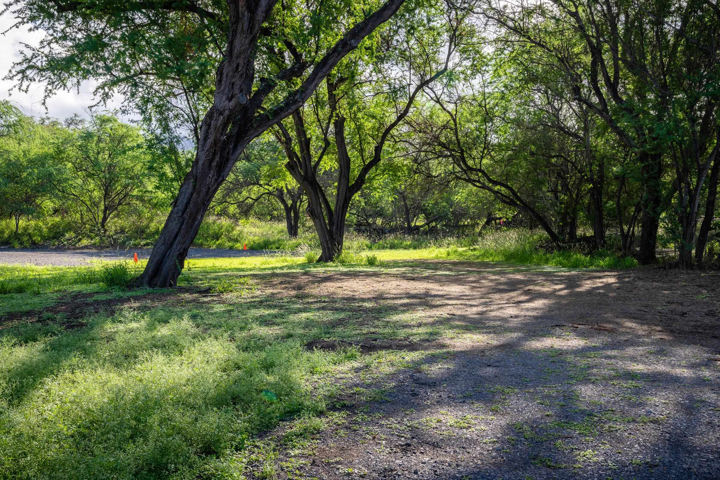 5375 Makena Rd  Kihei, Hi vacant land for sale - photo 3 of 26