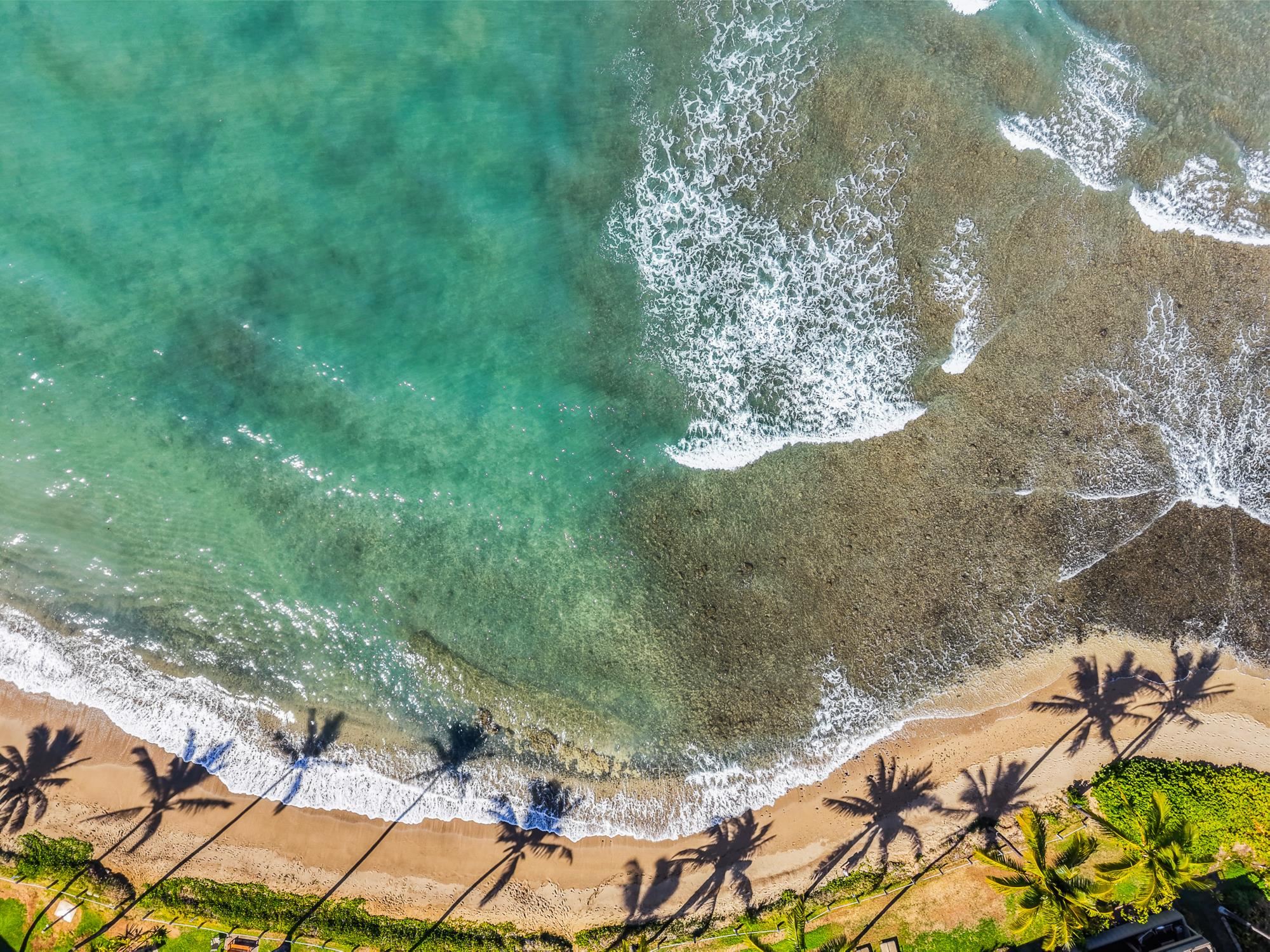 54  Hua Nui Way Kahana, Napili/Kahana/Honokowai home - photo 42 of 42