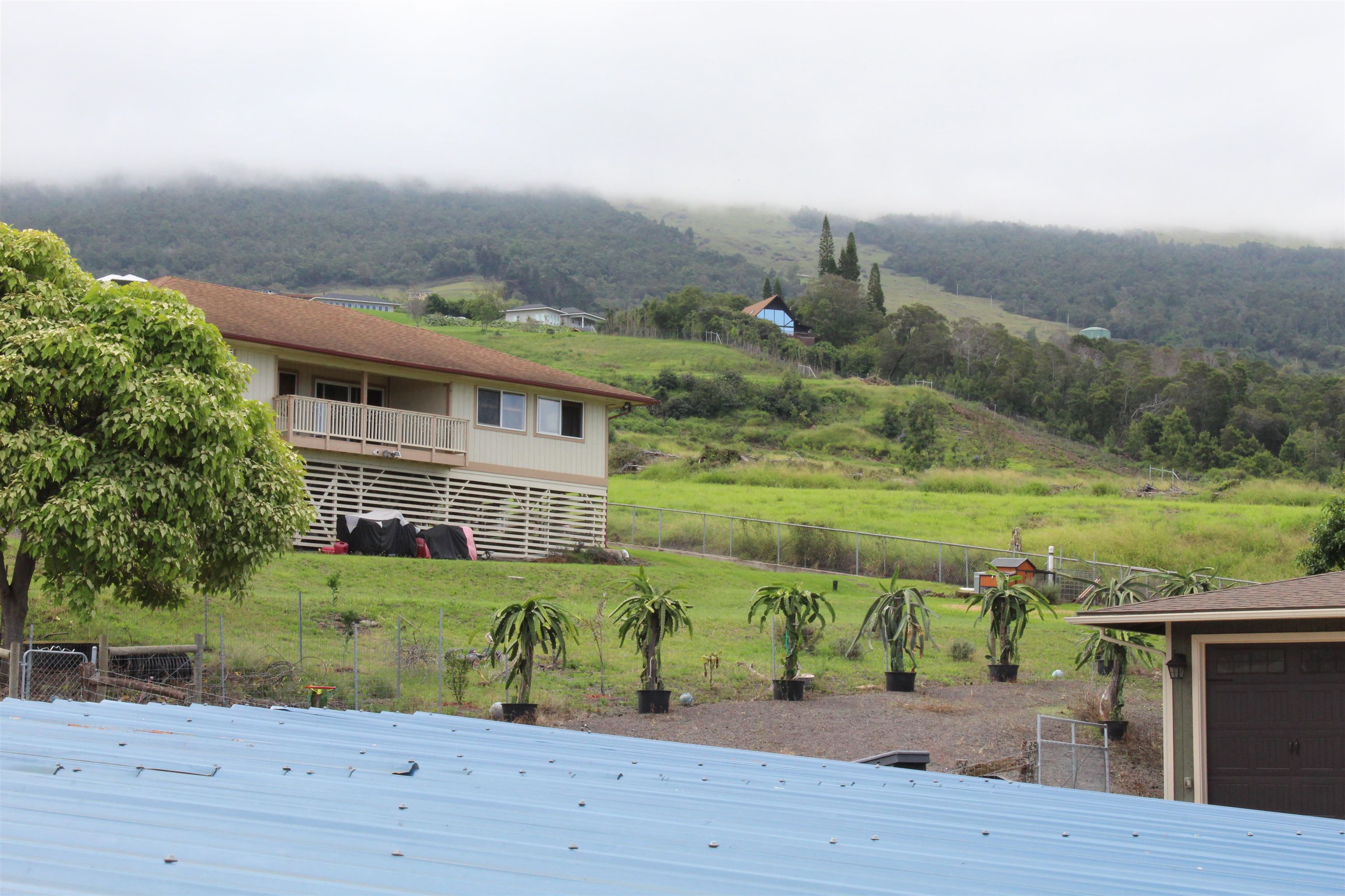 54  Keanuhea St Waiohului, Kula/Ulupalakua/Kanaio home - photo 24 of 42