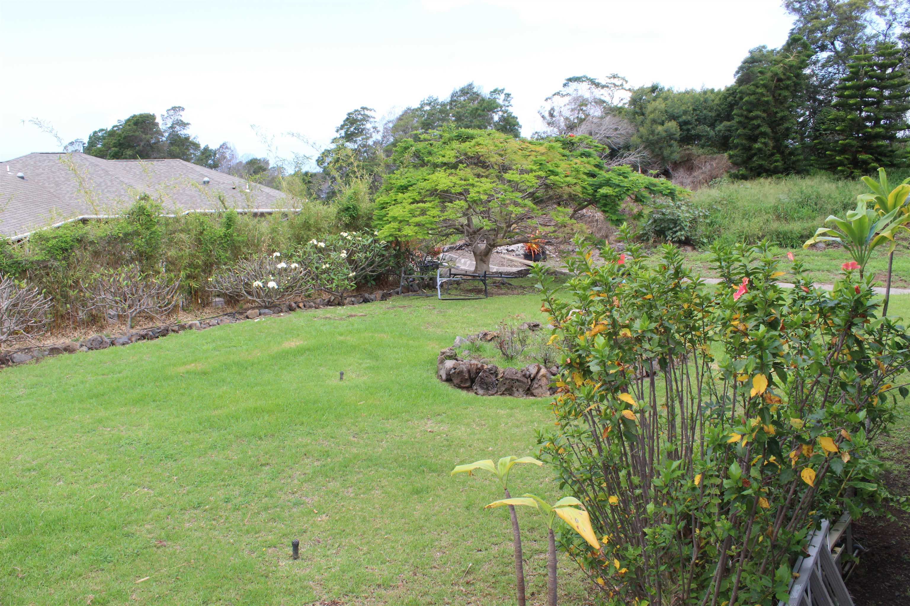 54  Keanuhea St Waiohului, Kula/Ulupalakua/Kanaio home - photo 25 of 42