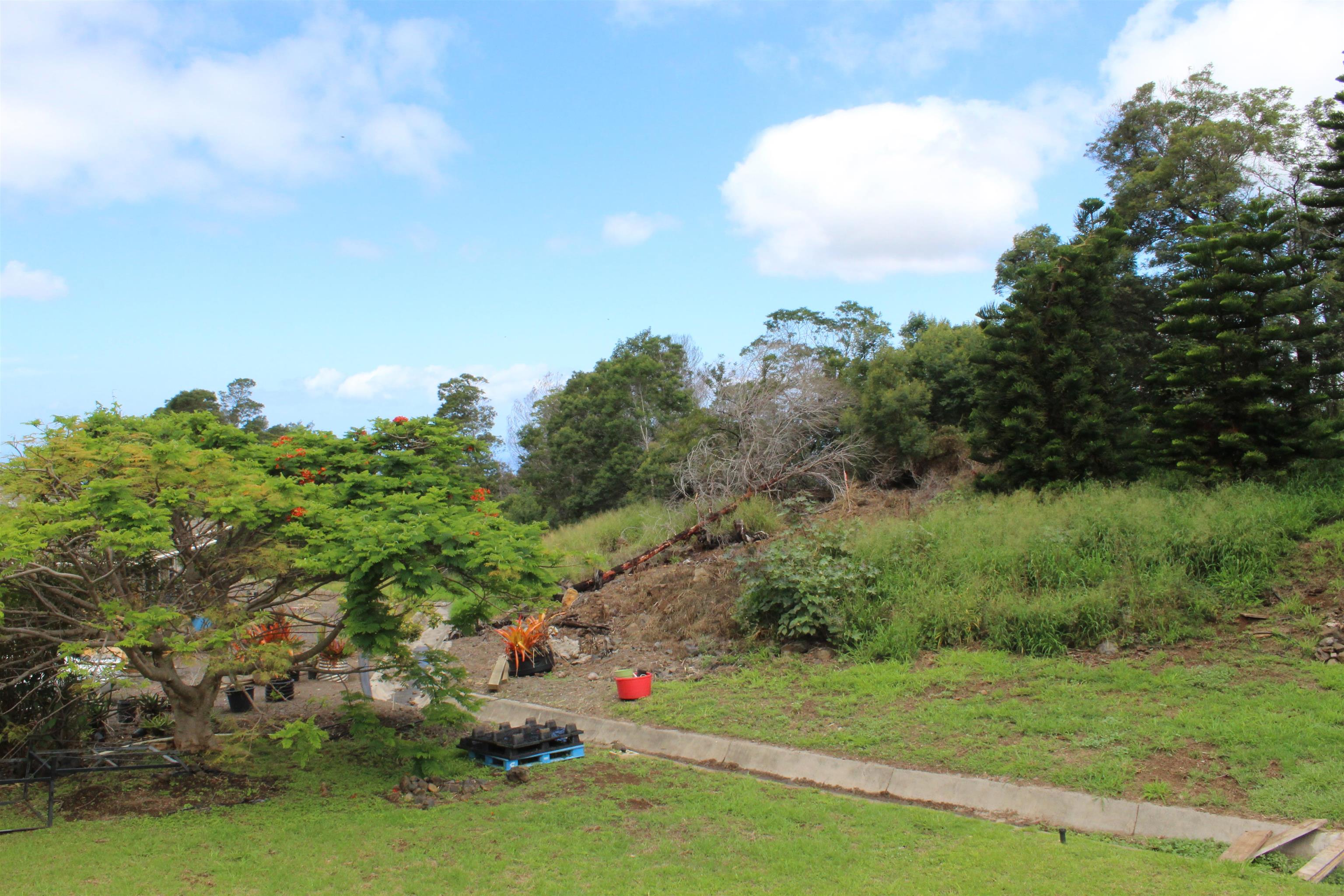54  Keanuhea St Waiohului, Kula/Ulupalakua/Kanaio home - photo 32 of 42