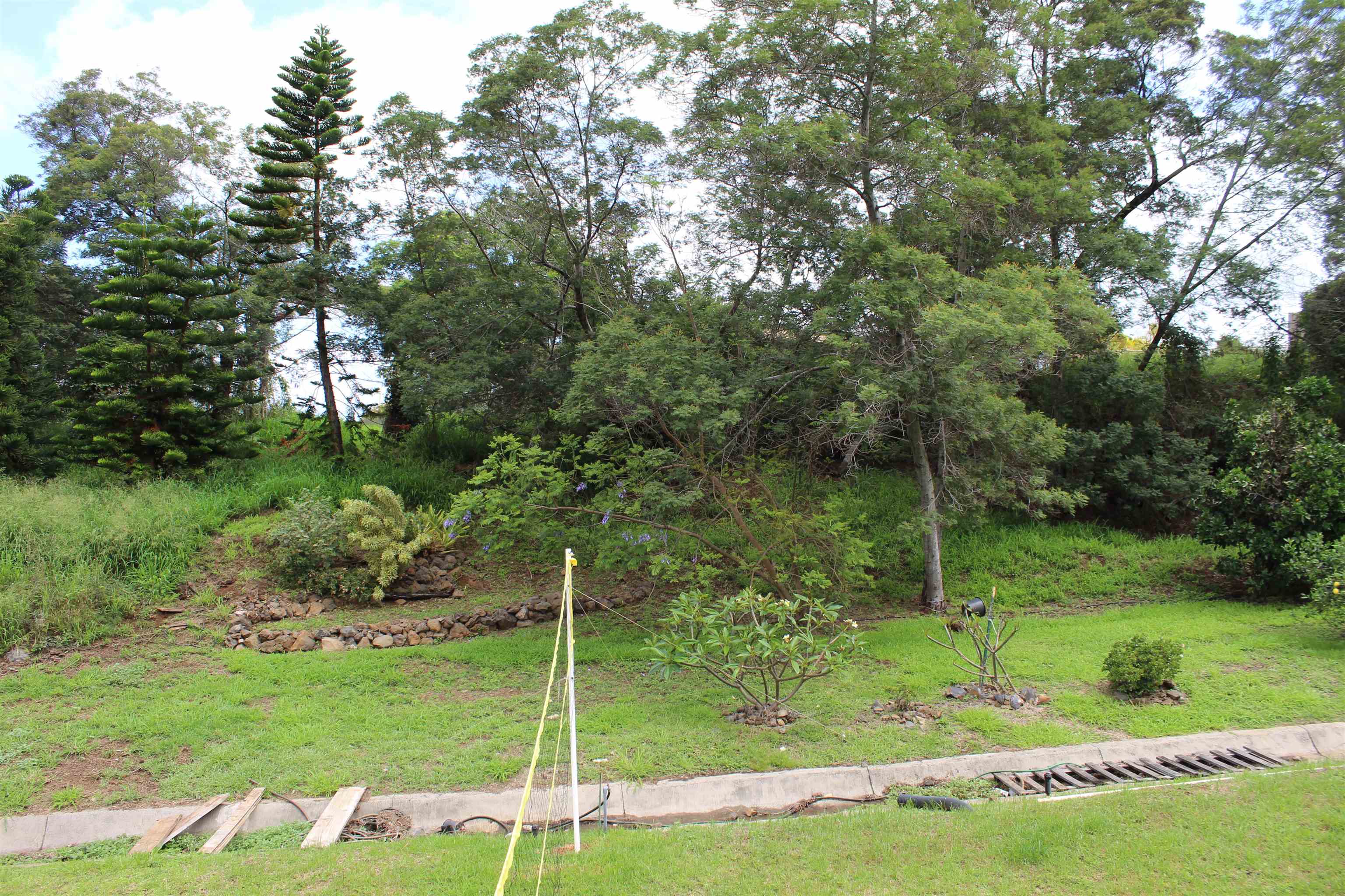 54  Keanuhea St Waiohului, Kula/Ulupalakua/Kanaio home - photo 33 of 42