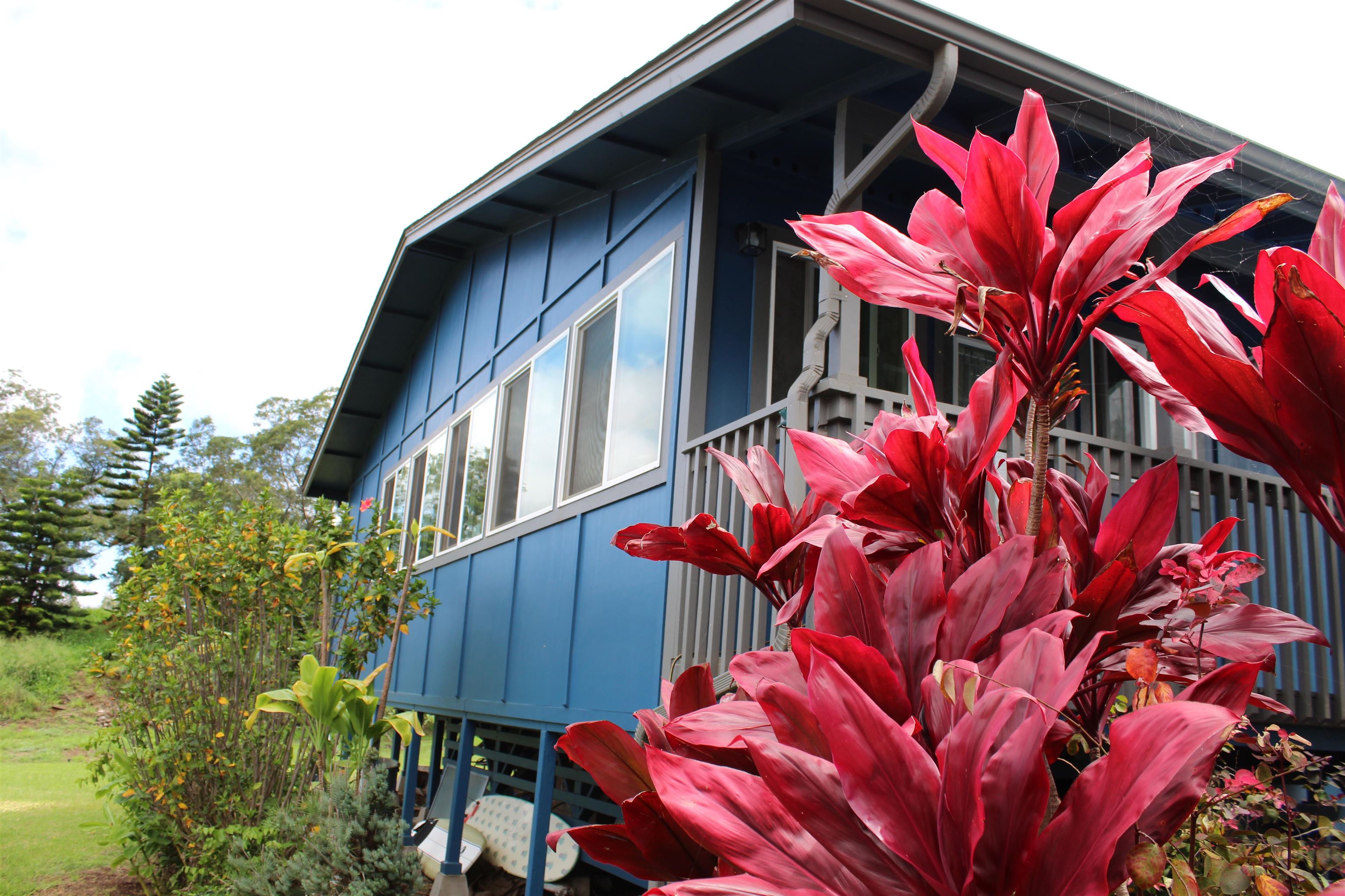 54  Keanuhea St Waiohului, Kula/Ulupalakua/Kanaio home - photo 39 of 42