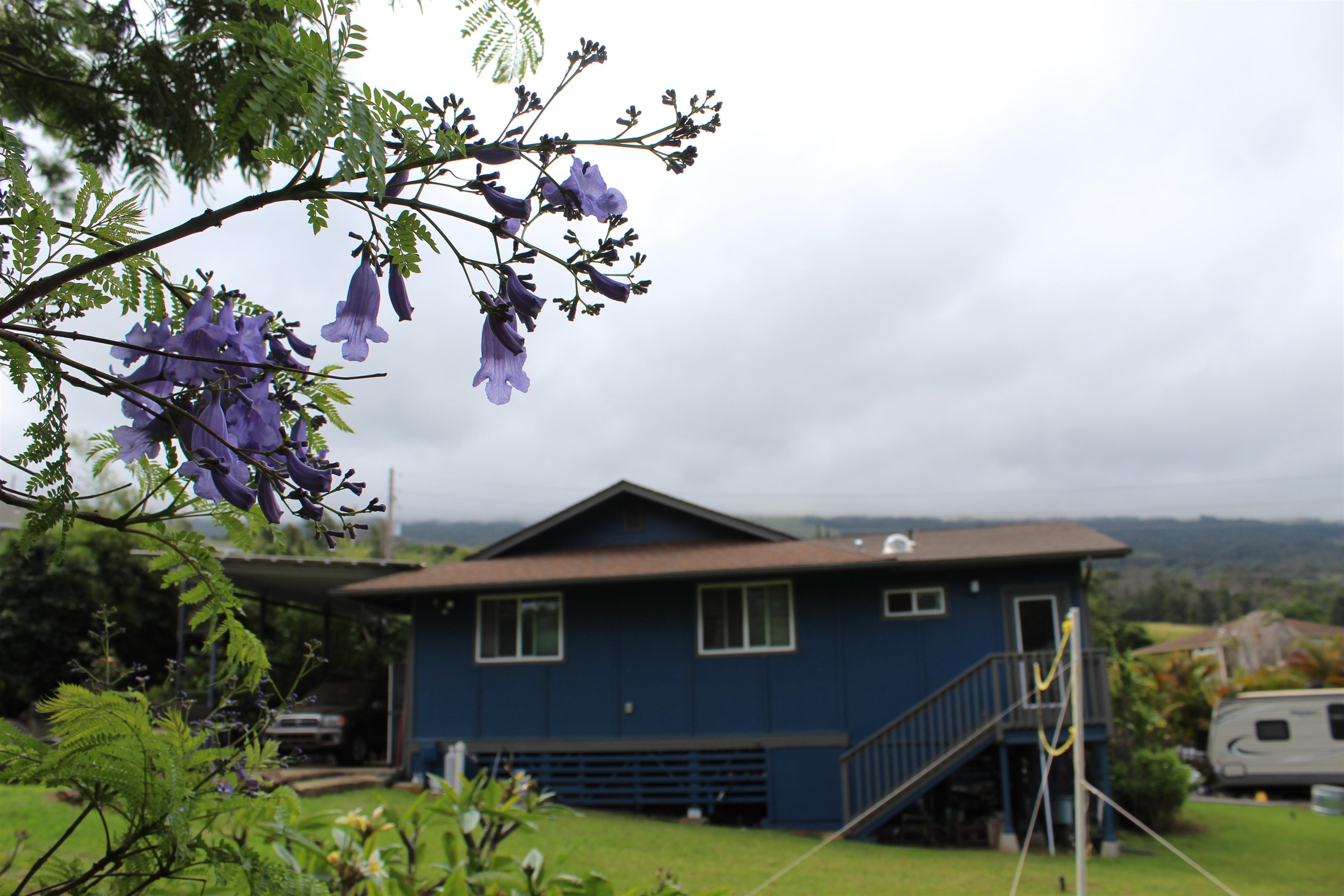 54  Keanuhea St Waiohului, Kula/Ulupalakua/Kanaio home - photo 40 of 42