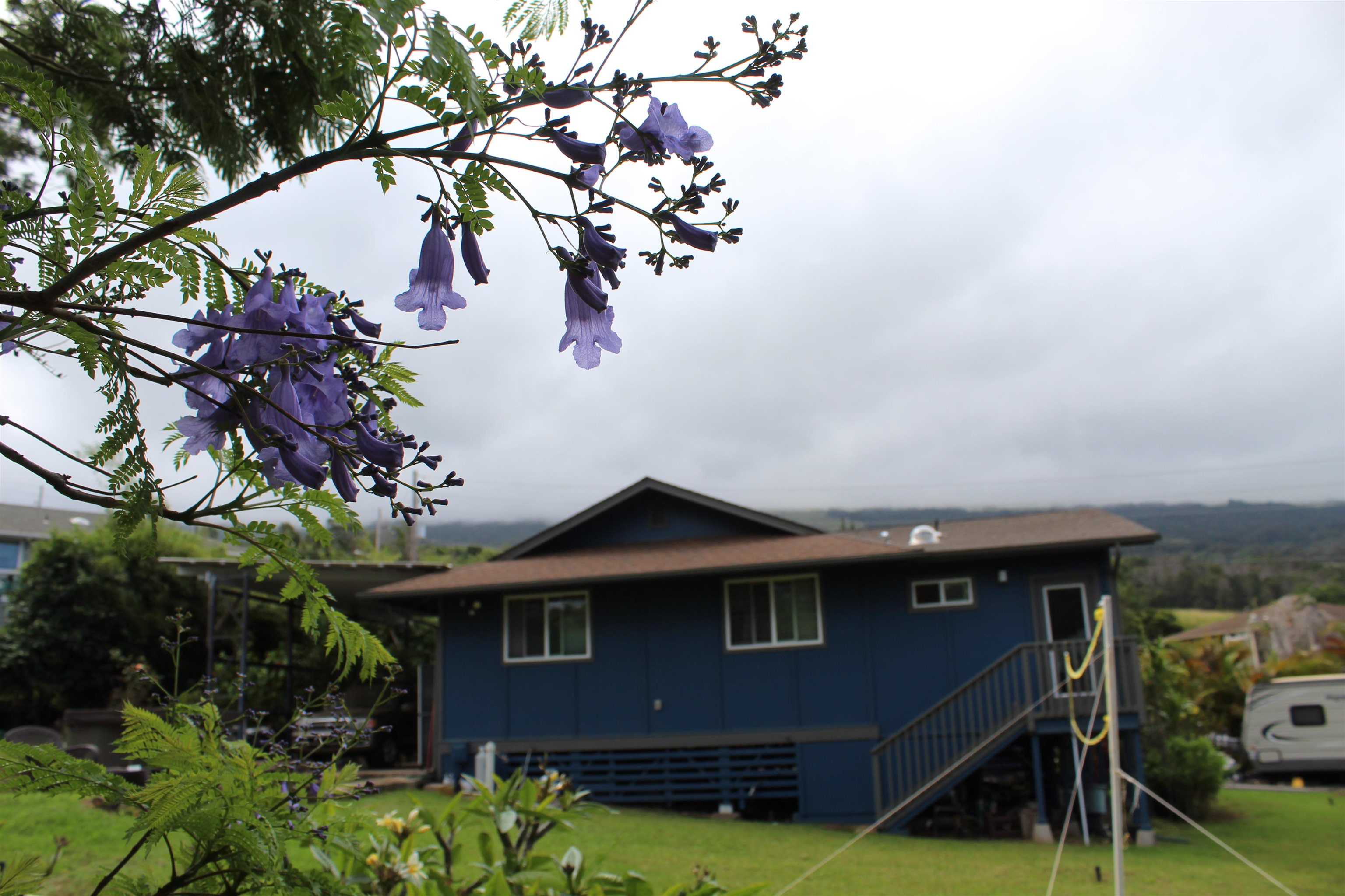 54  Keanuhea St Waiohului, Kula/Ulupalakua/Kanaio home - photo 41 of 42
