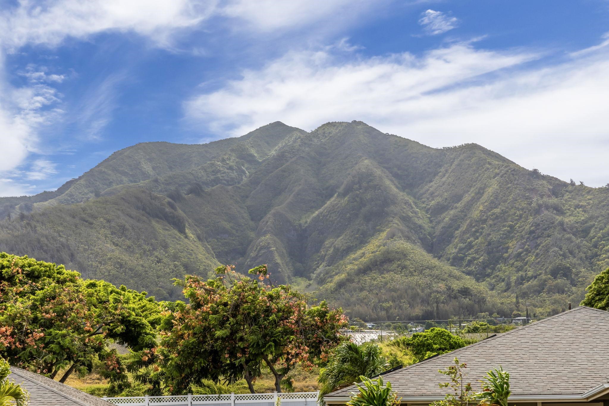 54  Uahaa Pl Kehalani, Wailuku home - photo 37 of 50