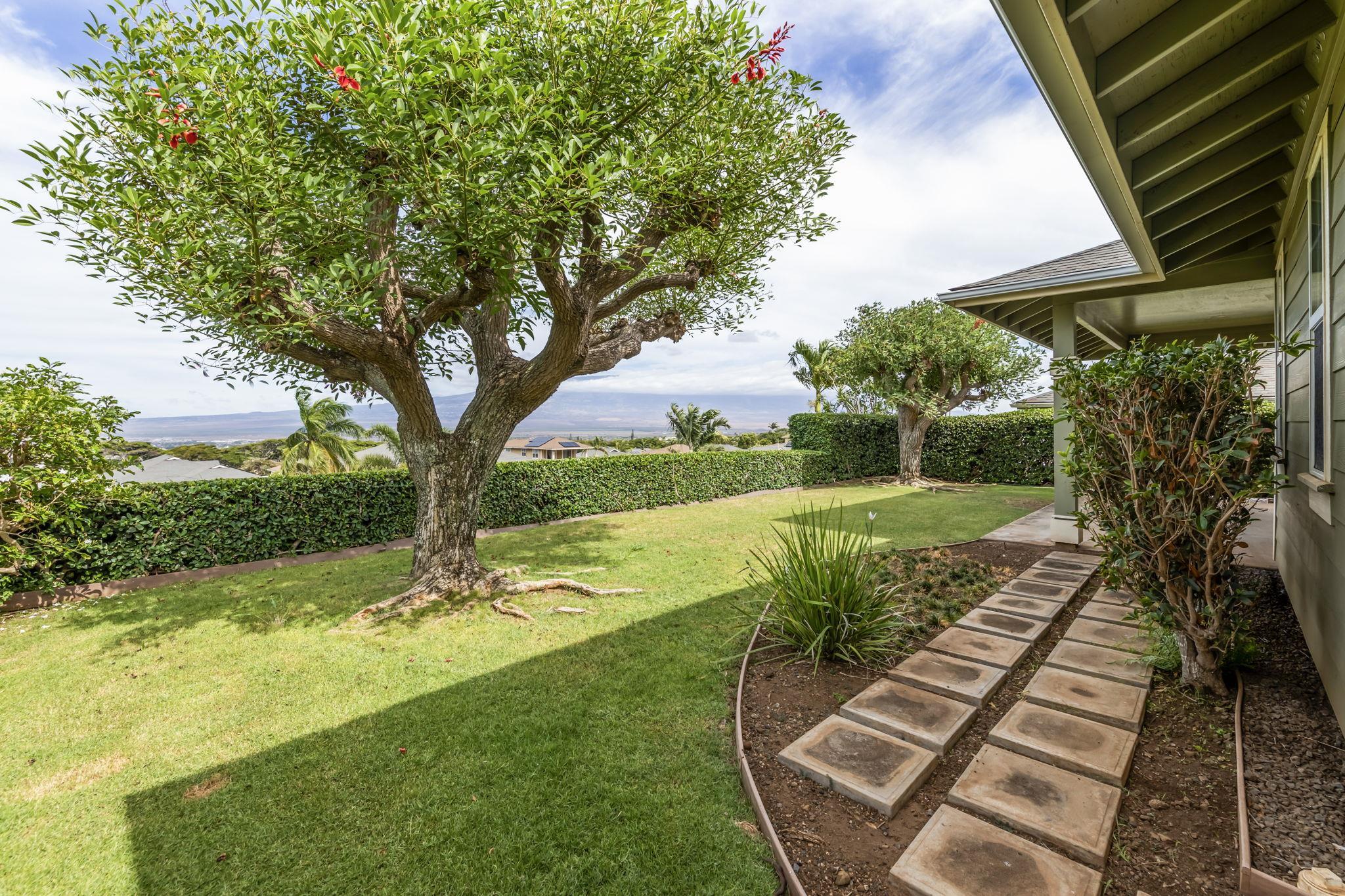 54  Uahaa Pl Kehalani, Wailuku home - photo 41 of 50