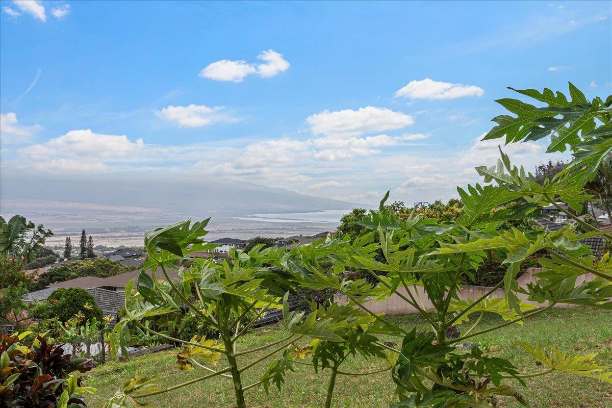 545  Iiwi Way Wailuku Heights, Wailuku home - photo 22 of 50