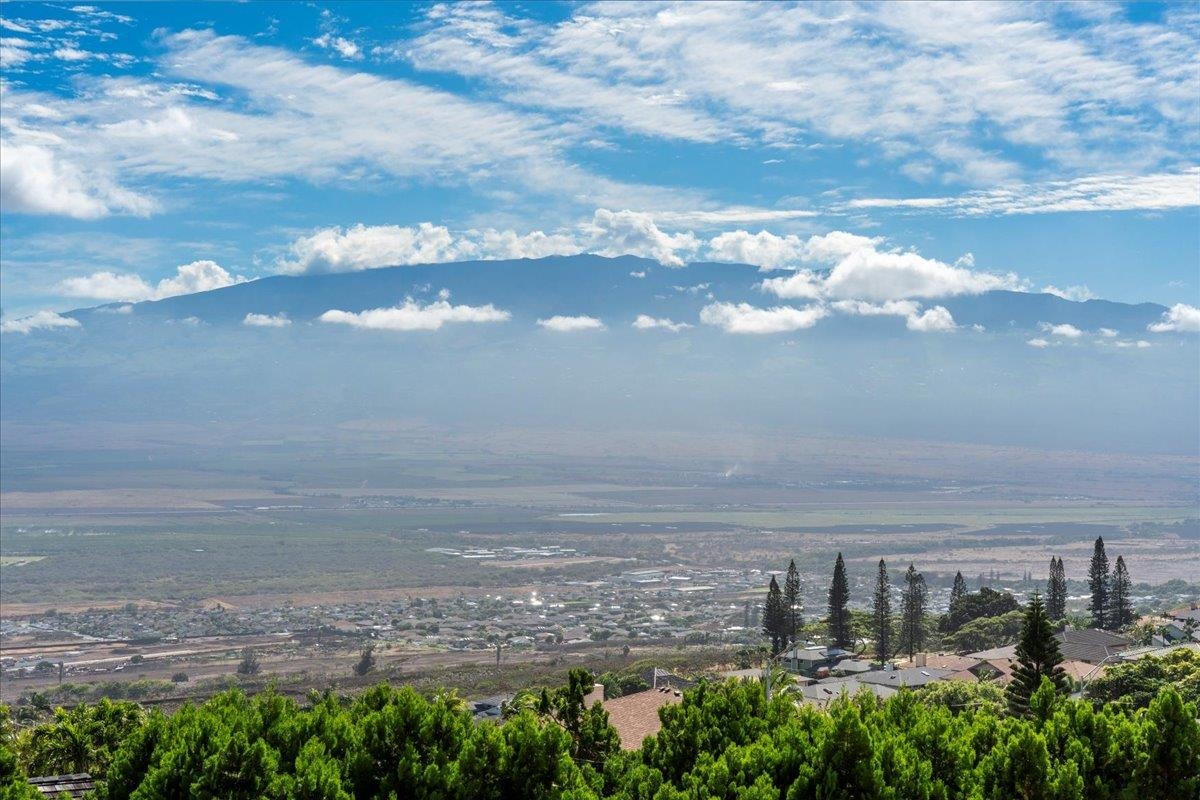 545  Iiwi Way Wailuku Heights, Wailuku home - photo 4 of 50