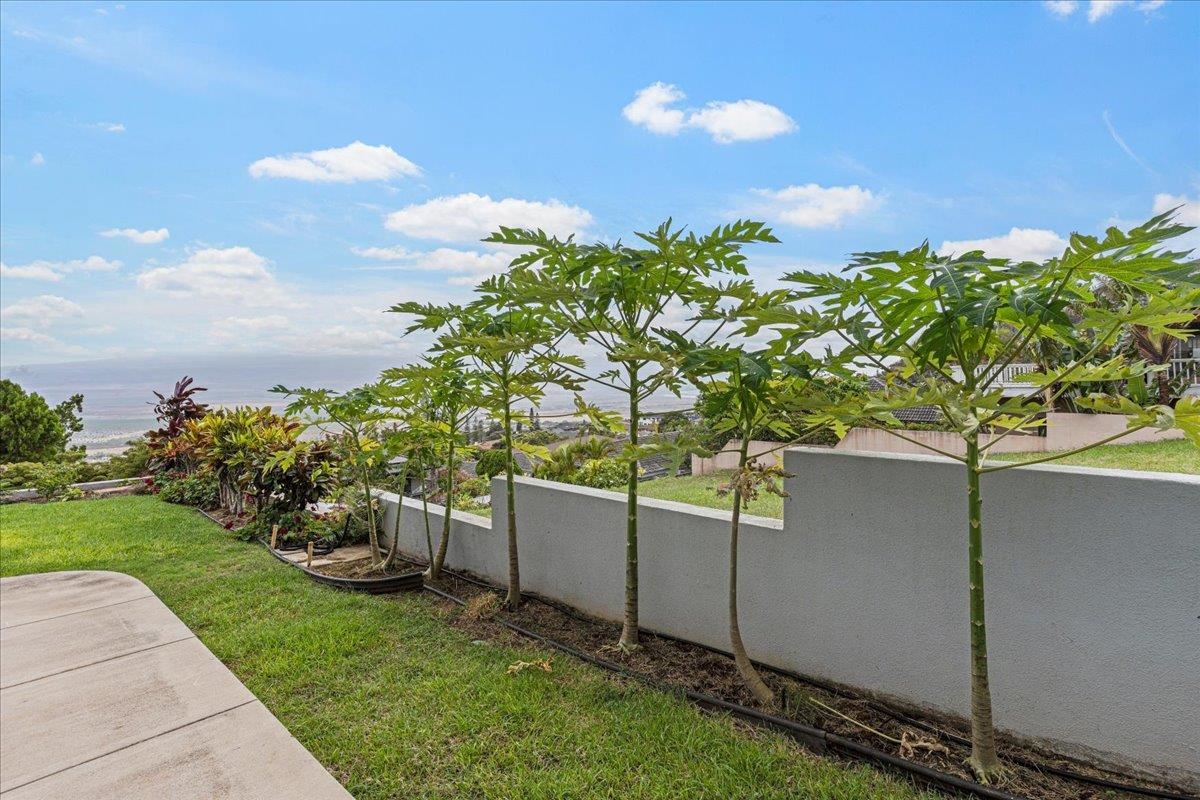 545  Iiwi Way Wailuku Heights, Wailuku home - photo 44 of 50