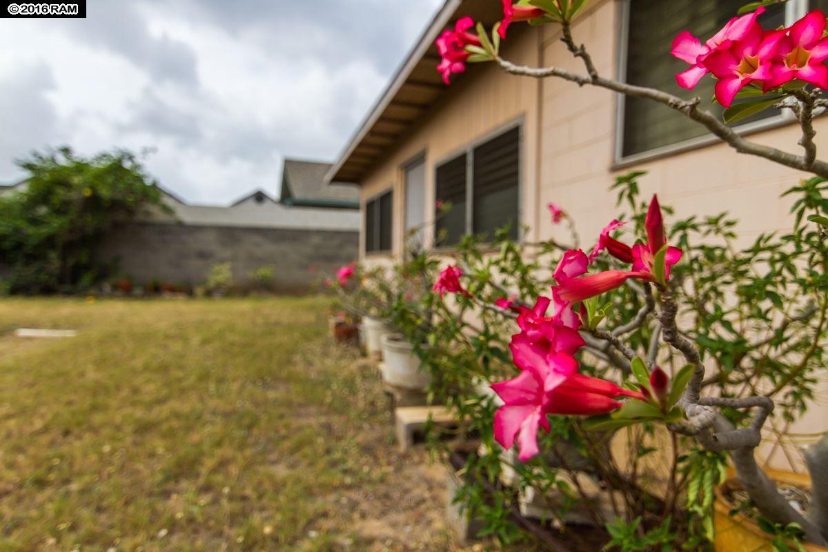 547  Kaulana St Kahului, Kahului home - photo 21 of 28