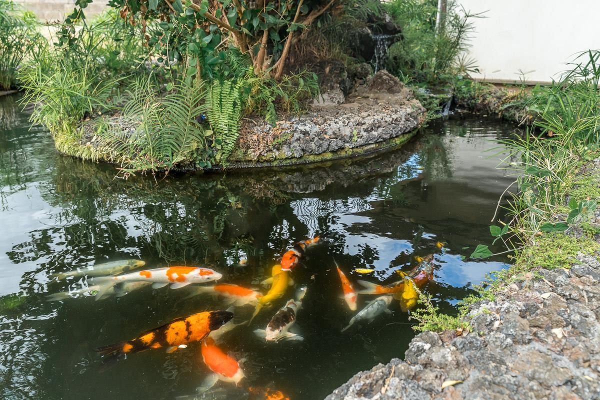 549  Honoapiilani Hwy , Wailuku home - photo 31 of 36