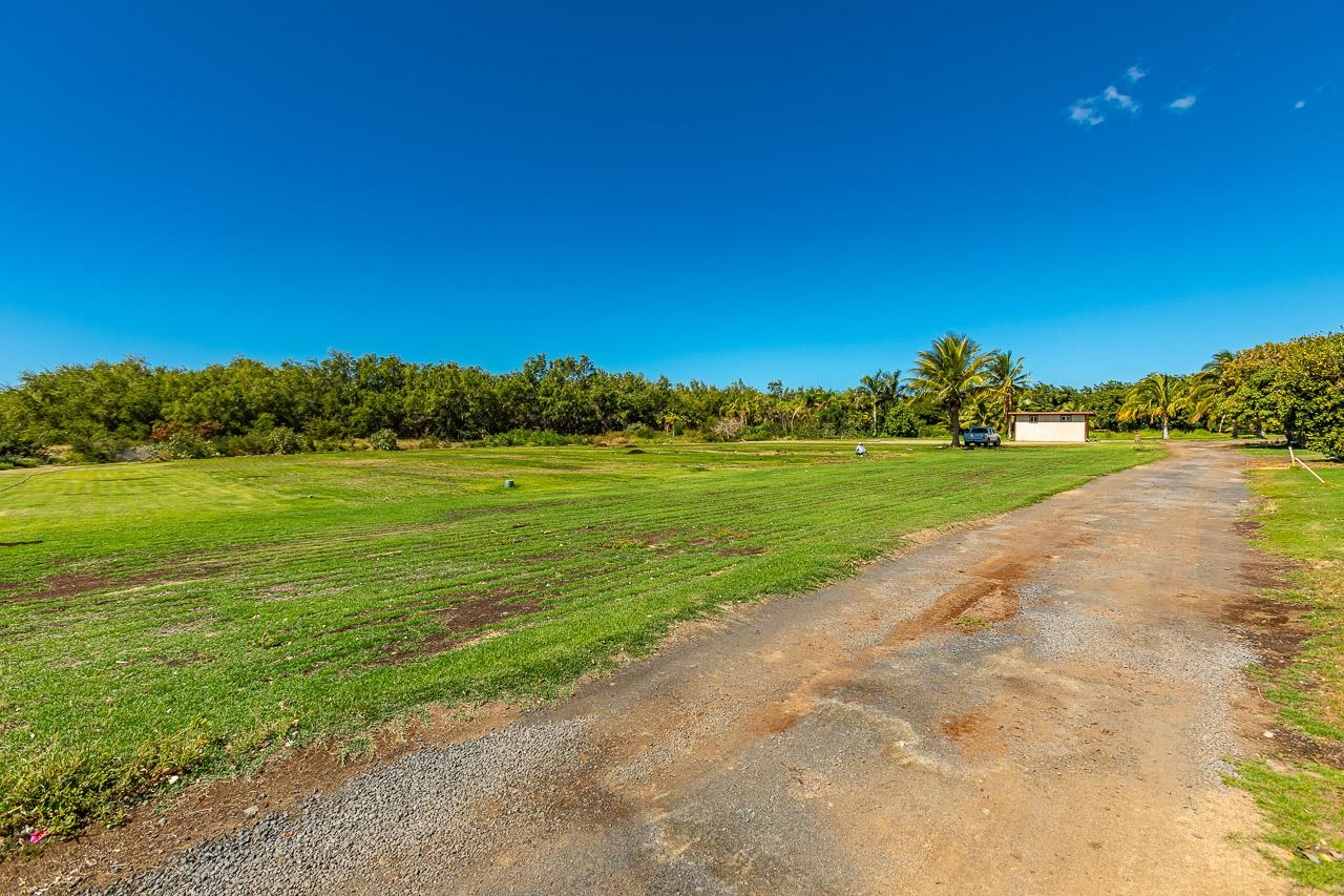 550 Ehehene St  Lahaina, Hi vacant land for sale - photo 15 of 23