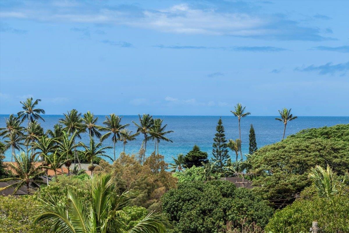 Pailolo Place condo # B17, Lahaina, Hawaii - photo 37 of 45