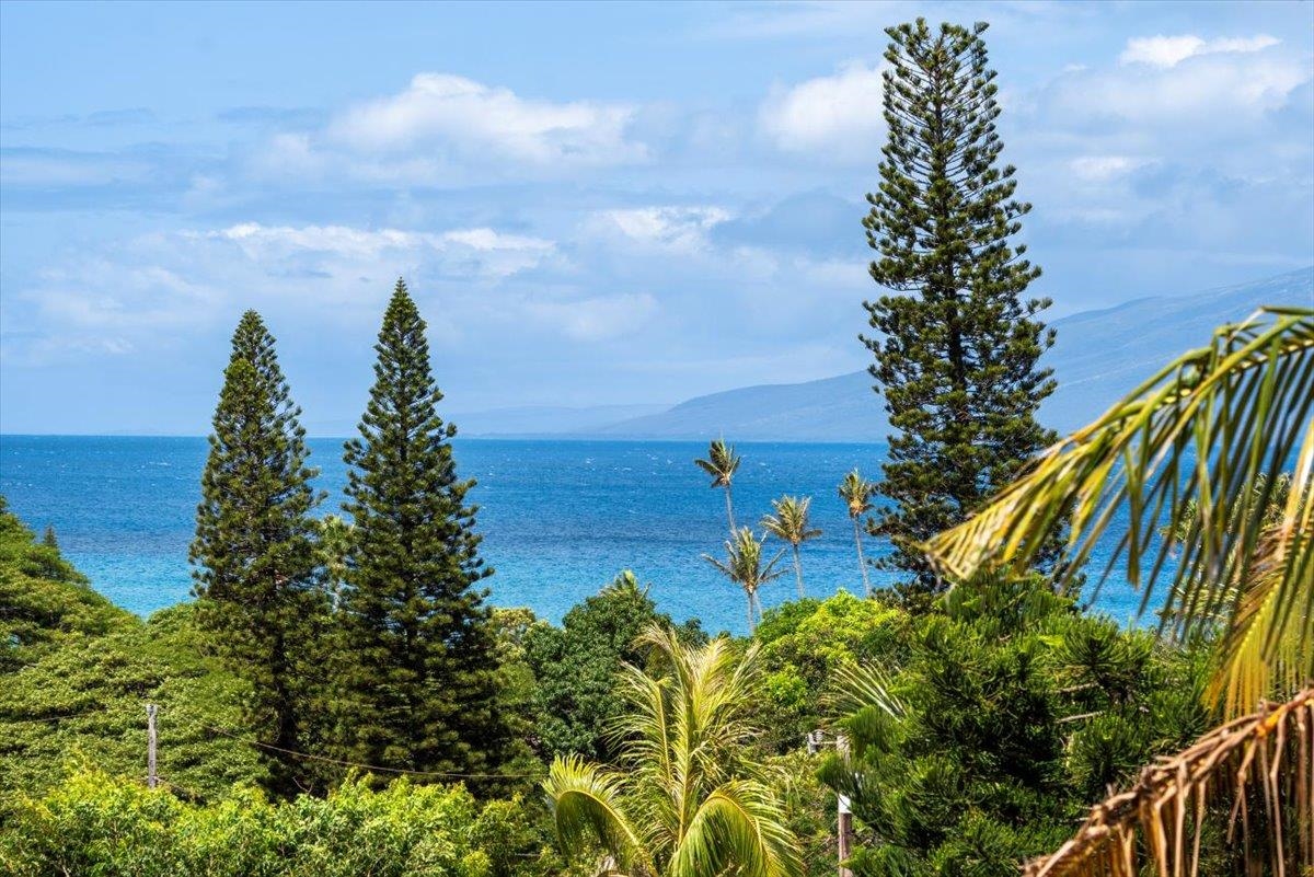 Pailolo Place condo # B17, Lahaina, Hawaii - photo 37 of 45