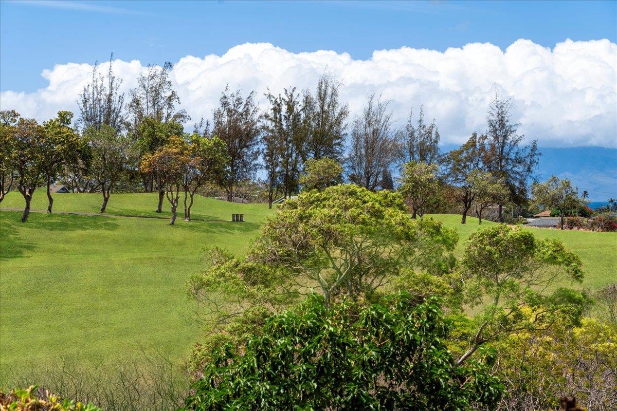 Pailolo Place condo # B17, Lahaina, Hawaii - photo 39 of 45