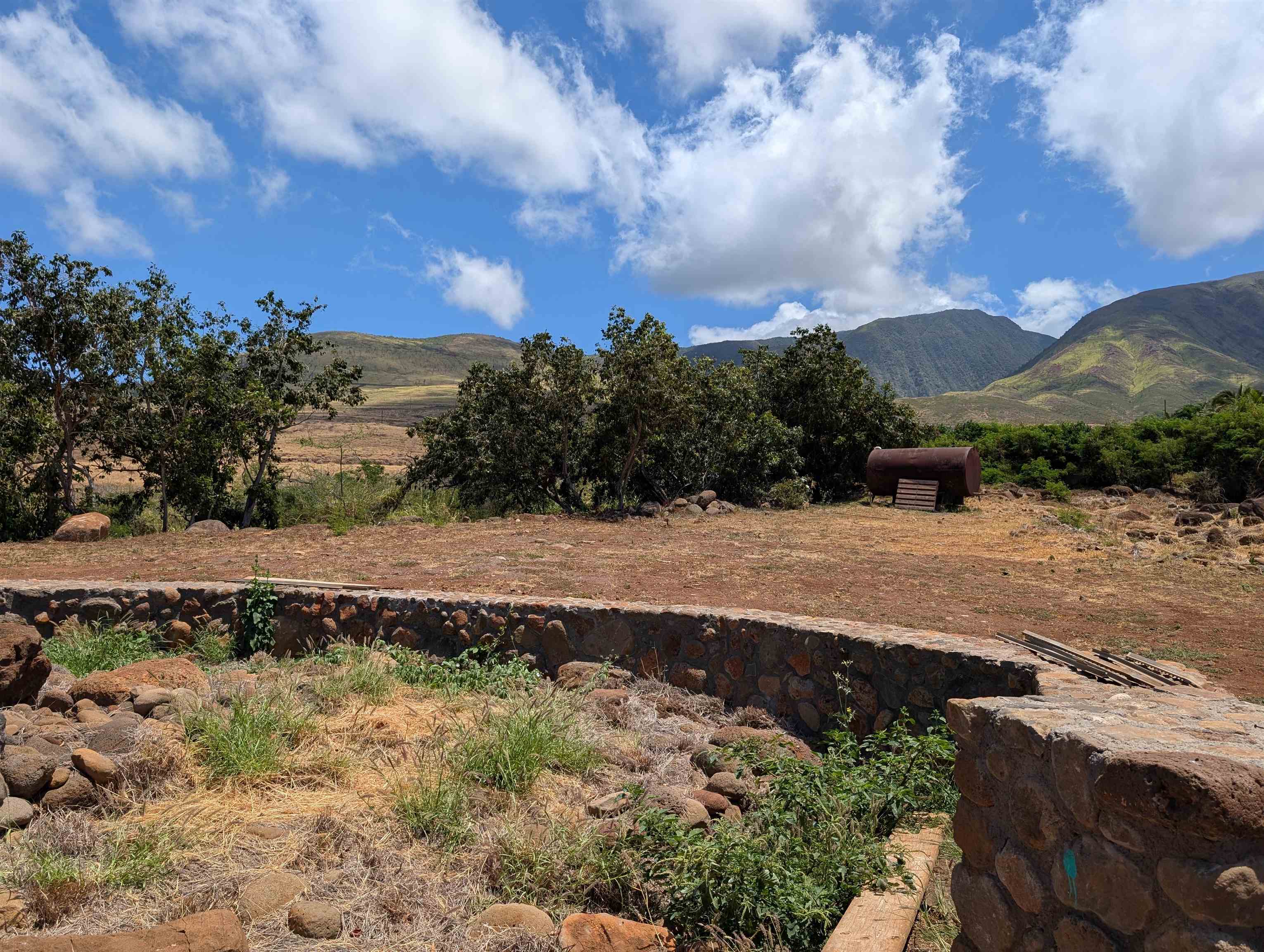 555 Hokiokio Rd  Lahaina, Hi vacant land for sale - photo 4 of 9
