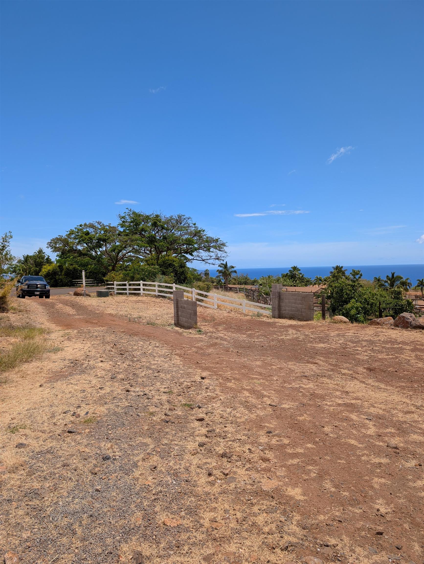 555 Hokiokio Rd  Lahaina, Hi vacant land for sale - photo 5 of 9