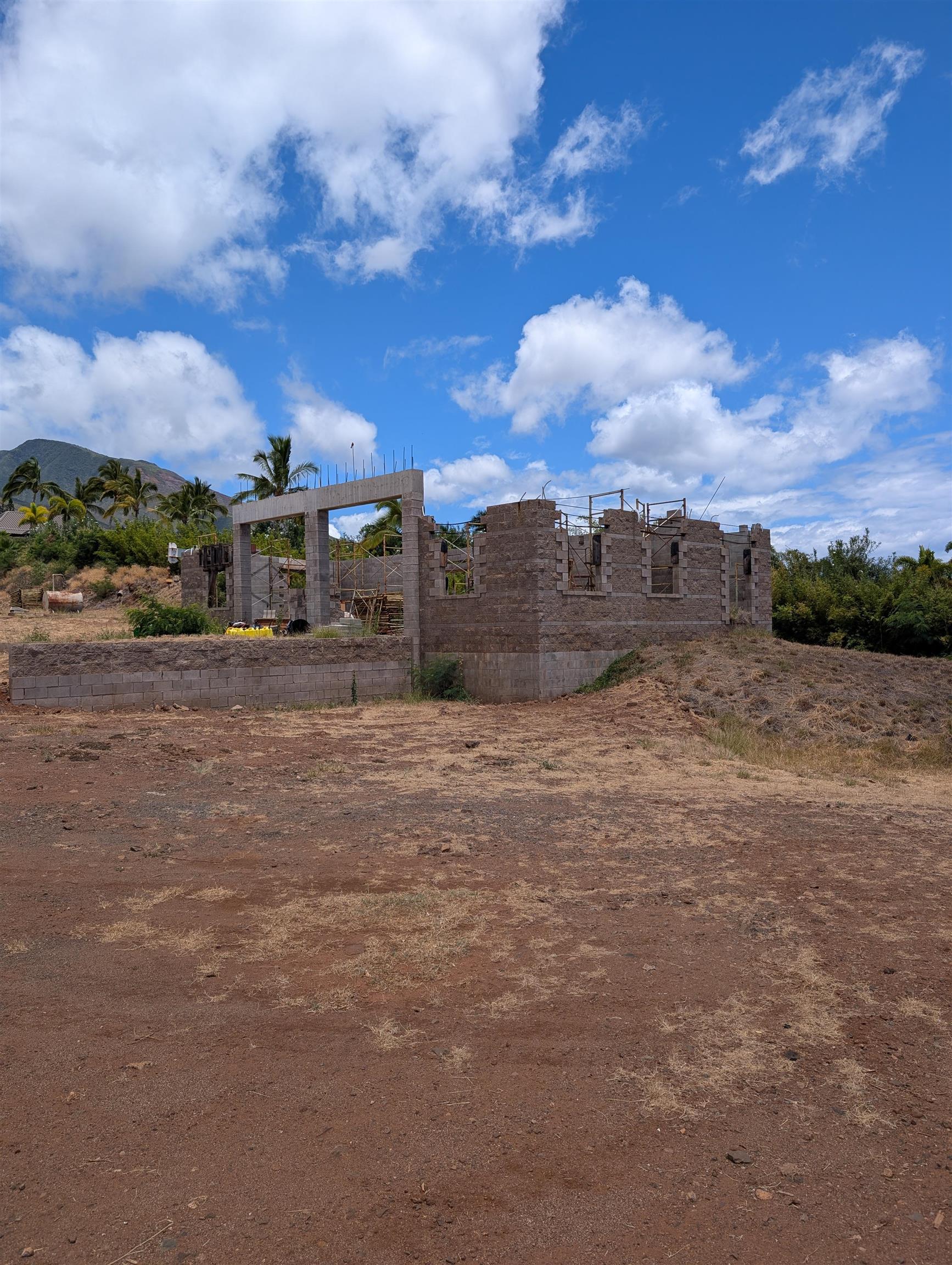 555 Hokiokio Rd  Lahaina, Hi vacant land for sale - photo 6 of 9