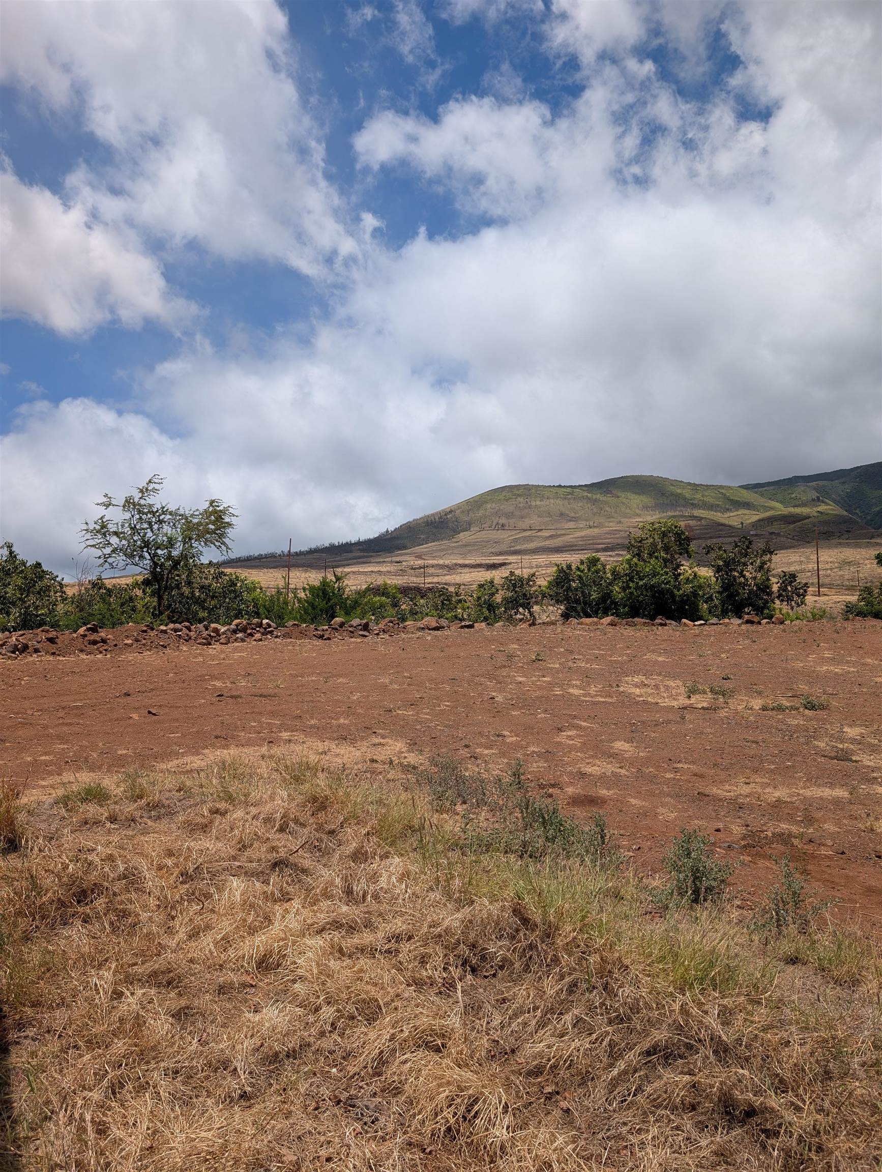 555 Hokiokio Rd  Lahaina, Hi vacant land for sale - photo 8 of 9