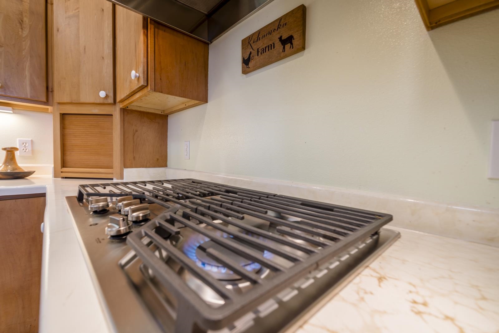 555  Kaukini Loop , Wailuku home - photo 23 of 50