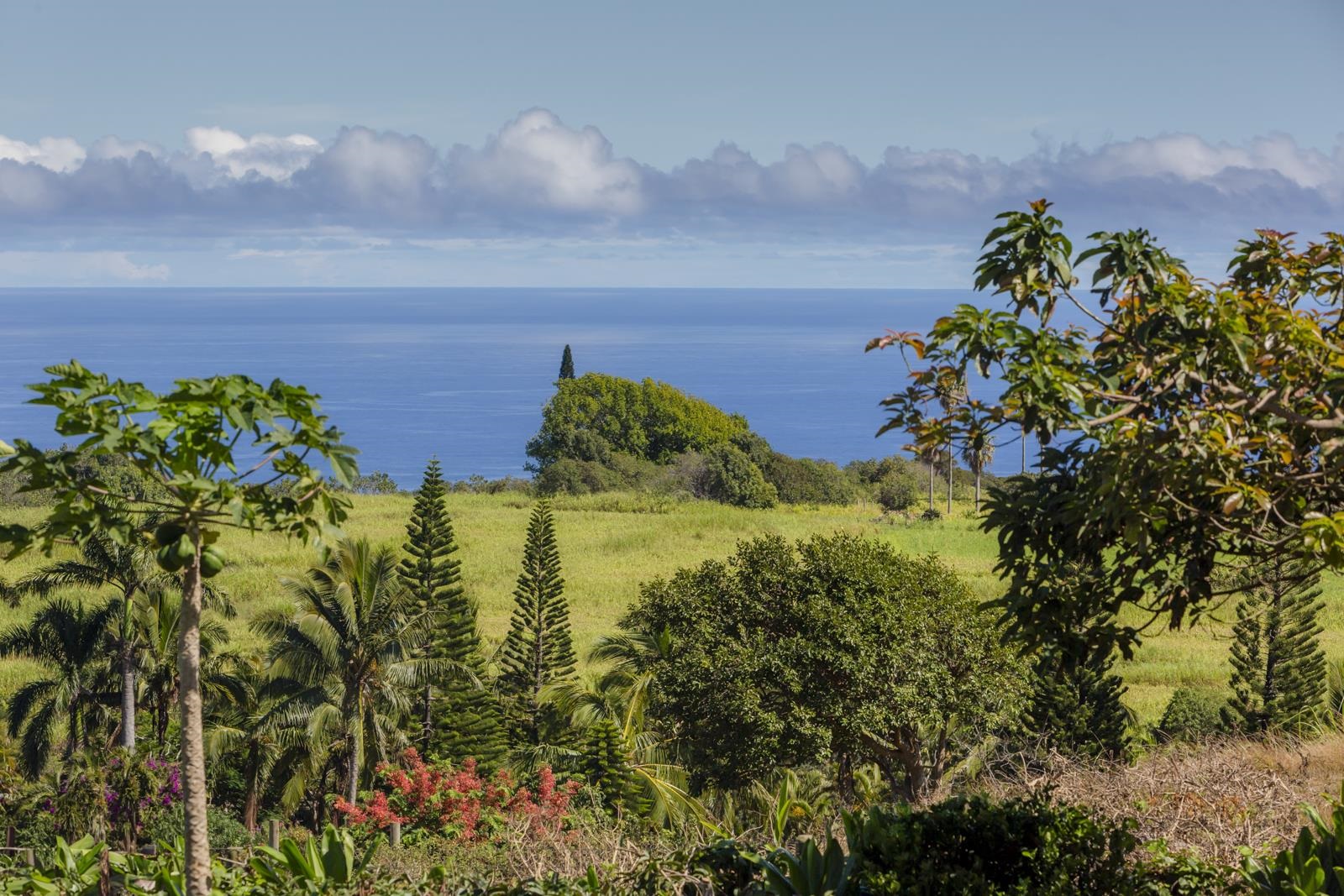 555  Kaukini Loop , Wailuku home - photo 7 of 50