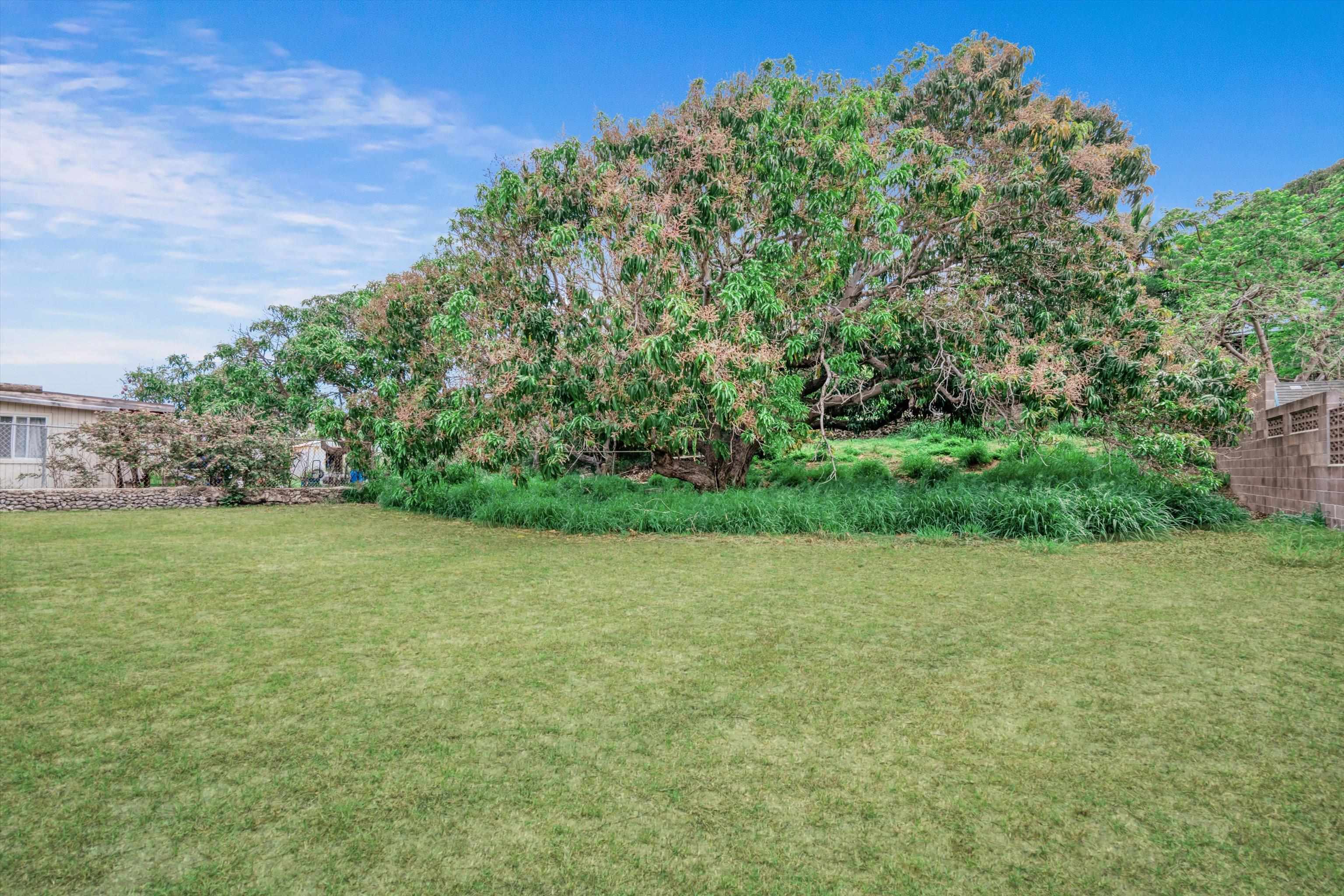 557  Maalo St , Kahului home - photo 27 of 39