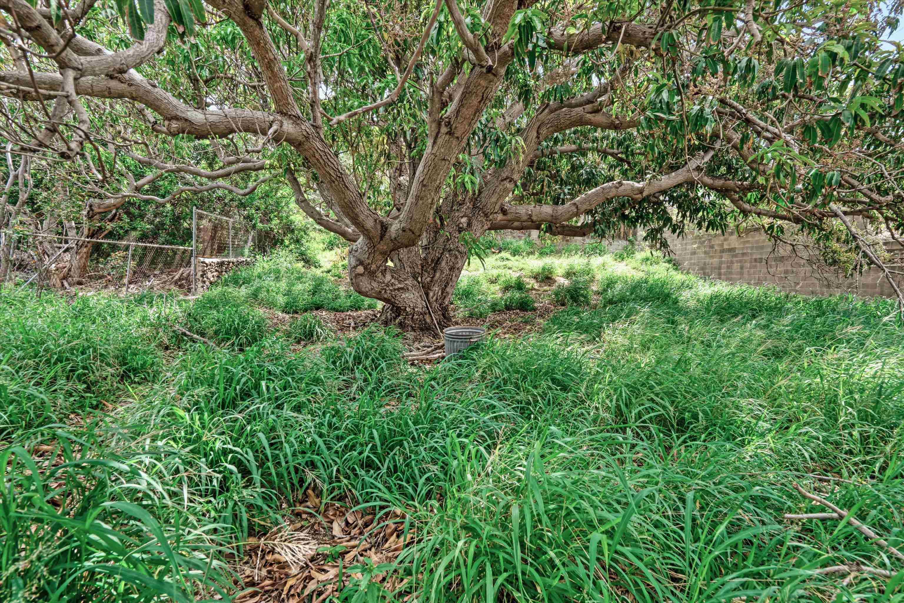 557  Maalo St , Kahului home - photo 28 of 39