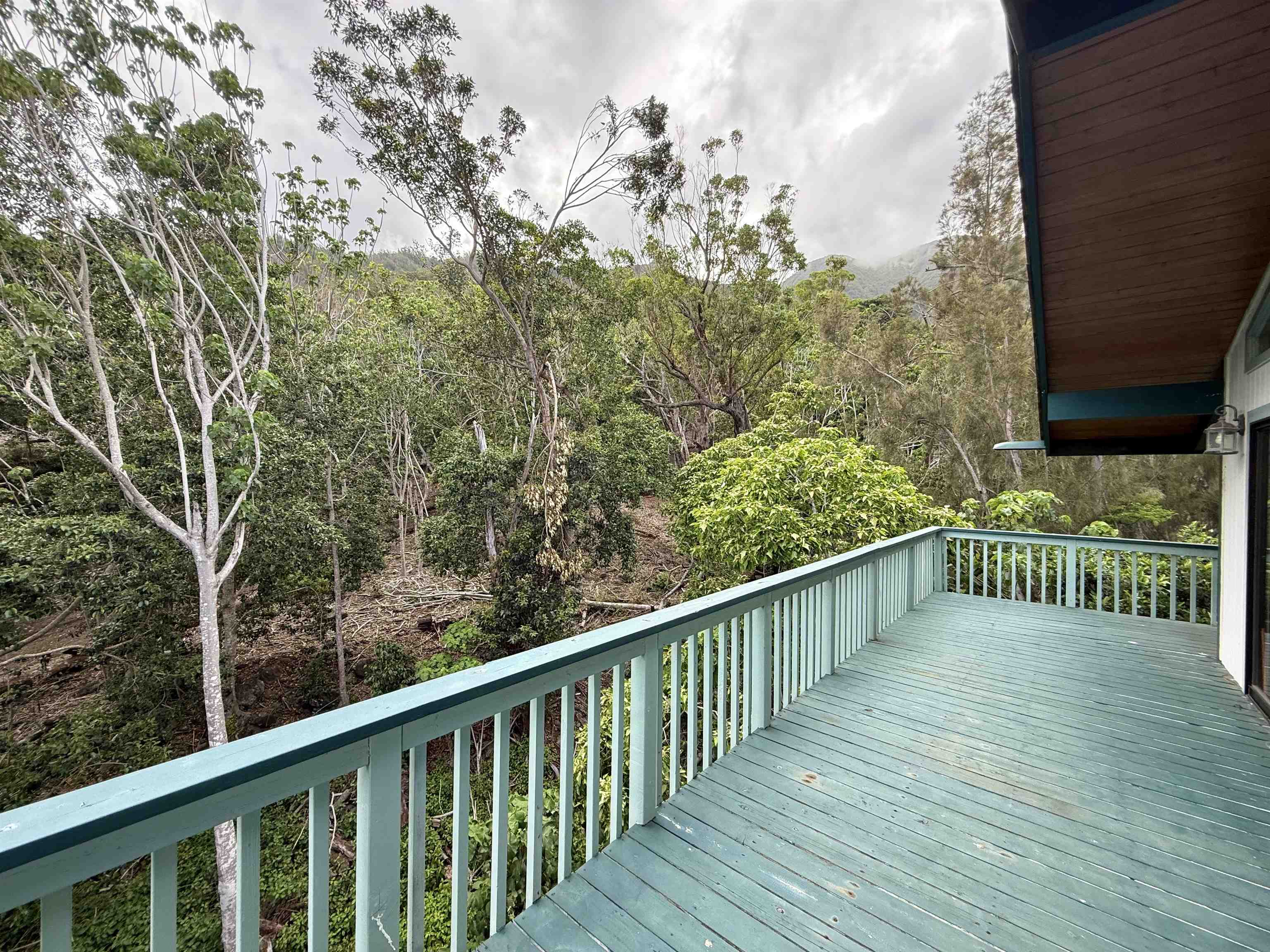 558  Polulani Dr , Wailuku home - photo 20 of 50