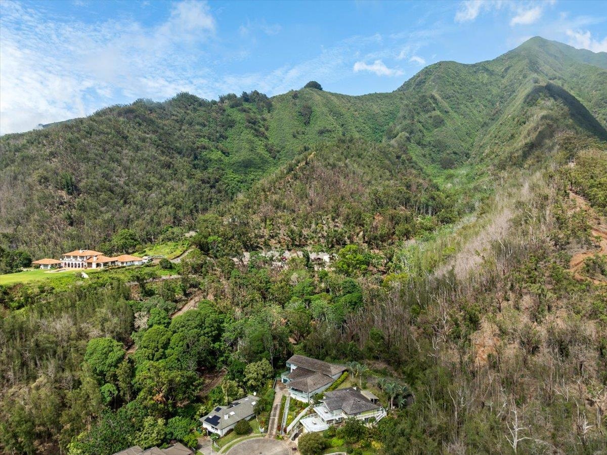 558  Polulani Dr , Wailuku home - photo 21 of 50