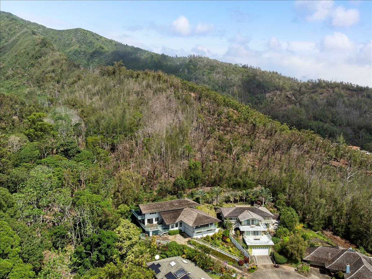 558  Polulani Dr , Wailuku home - photo 48 of 50