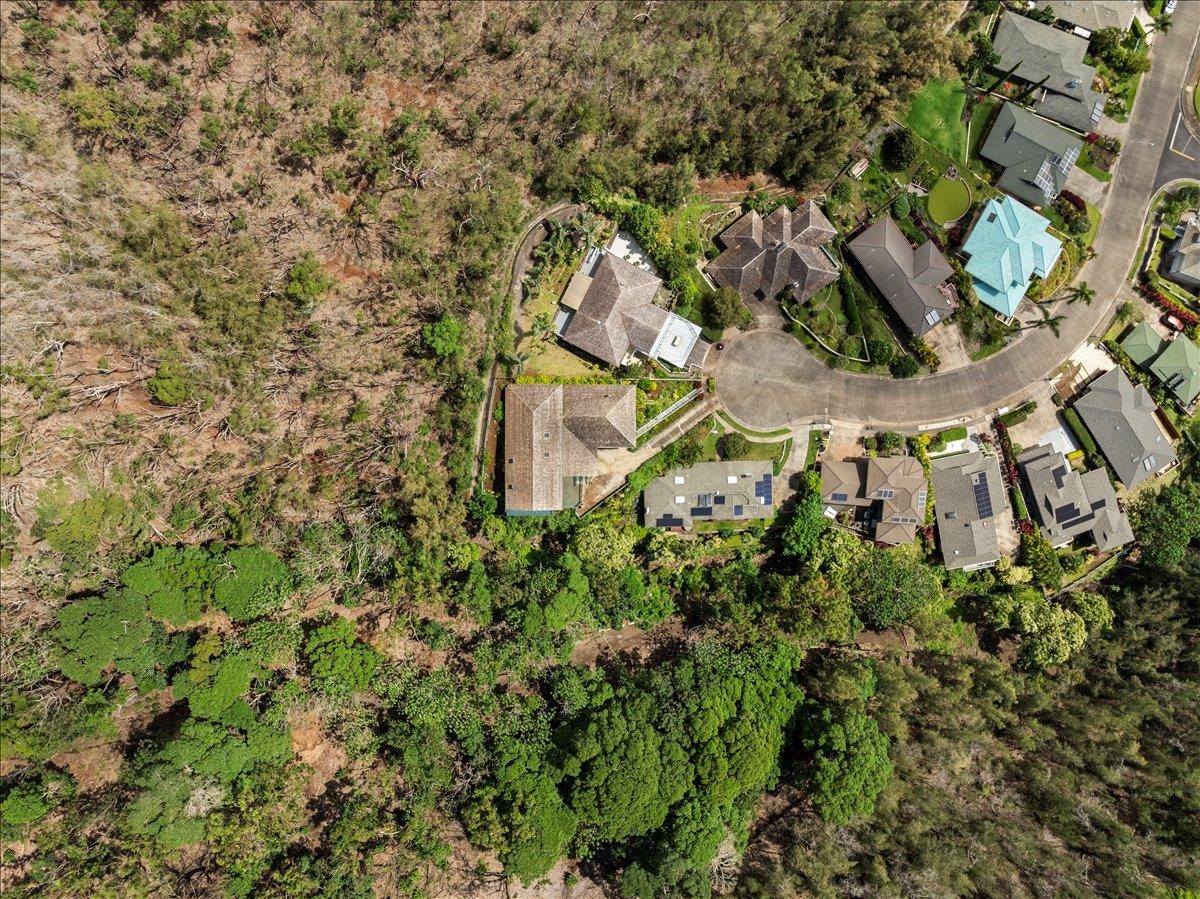 558  Polulani Dr , Wailuku home - photo 49 of 50