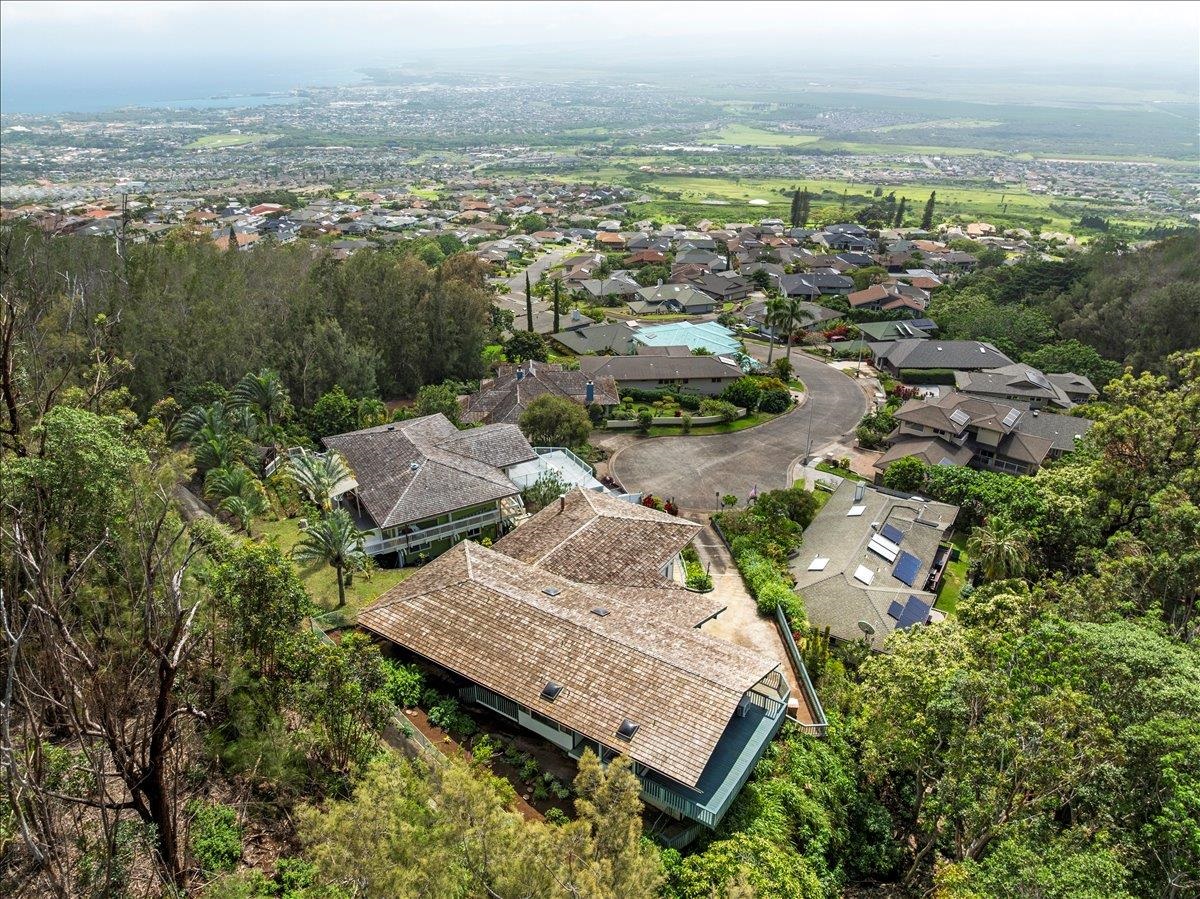 558  Polulani Dr , Wailuku home - photo 50 of 50