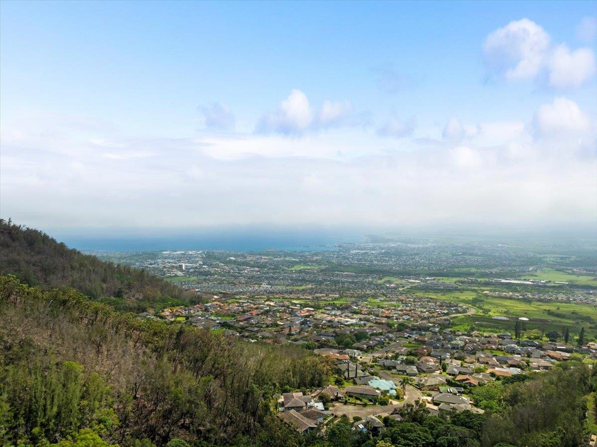558  Polulani Dr , Wailuku home - photo 8 of 50