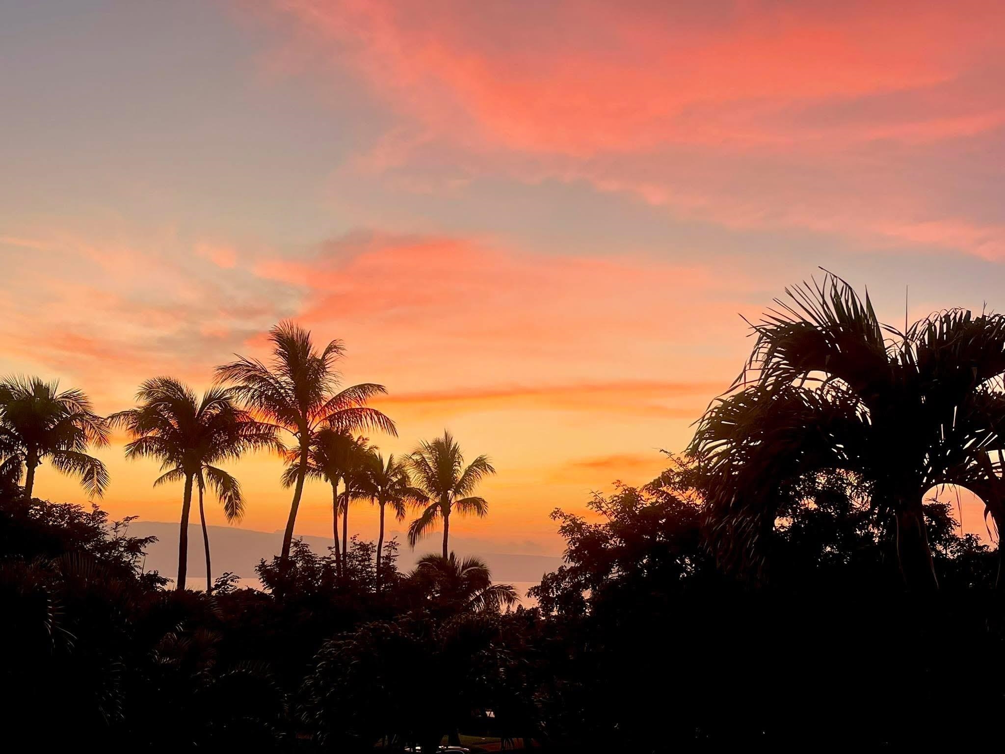 56  Iwa Pl Kaanapali Hillside Ph Ii, Kaanapali home - photo 31 of 50