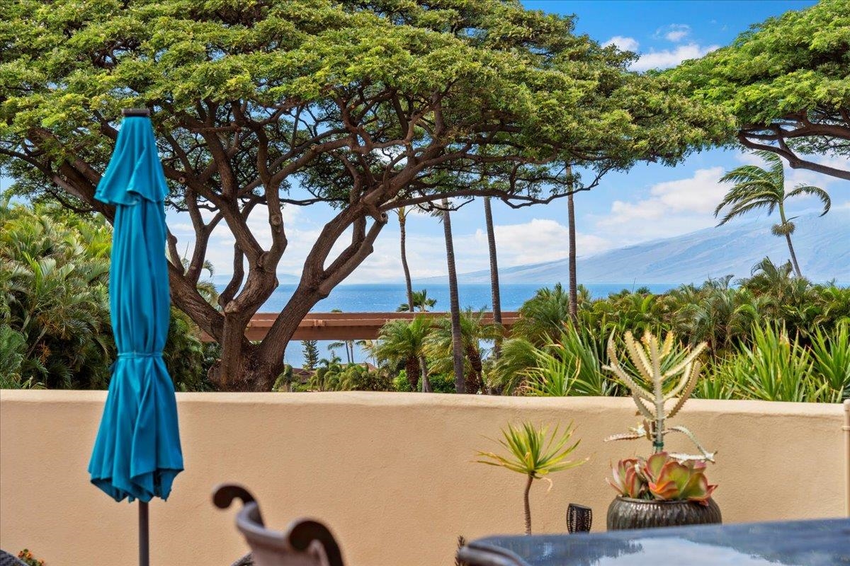 56  Iwa Pl Kaanapali Hillside Ph Ii, Kaanapali home - photo 42 of 50