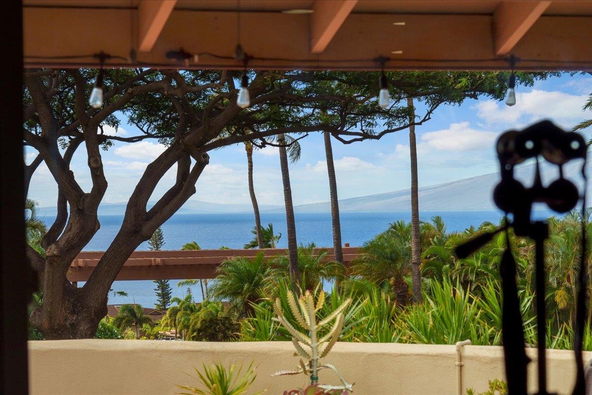 56  S Iwa Pl Kaanapali Hillside, Kaanapali home - photo 13 of 45