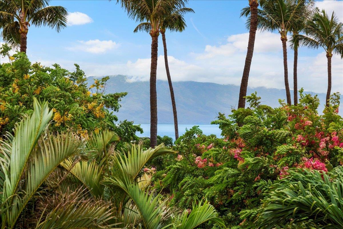 56  S Iwa Pl Kaanapali Hillside, Kaanapali home - photo 20 of 45