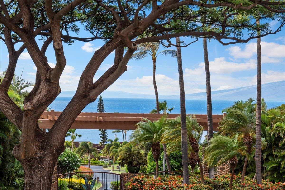 56  S Iwa Pl Kaanapali Hillside, Kaanapali home - photo 31 of 45