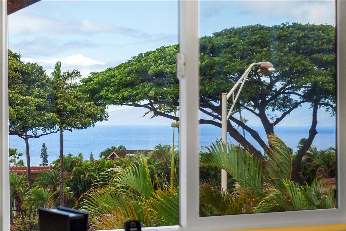 56  S Iwa Pl Kaanapali Hillside, Kaanapali home - photo 39 of 45