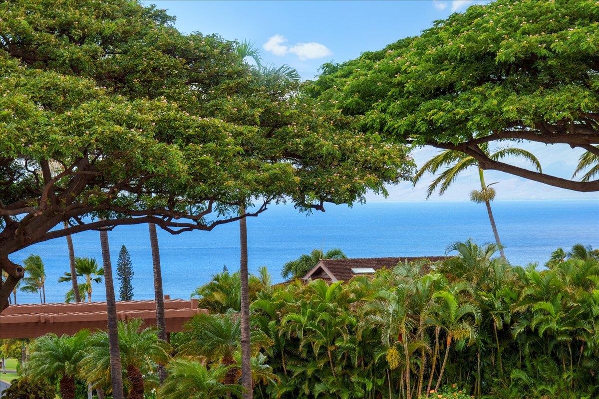 56  S Iwa Pl Kaanapali Hillside Ph Ii, Kaanapali home - photo 28 of 50